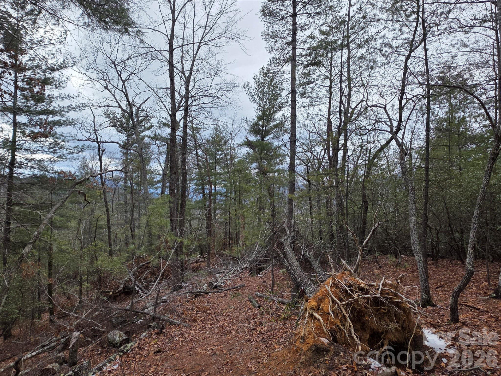 Lot 24A-28A Quail Drive - Photo 8