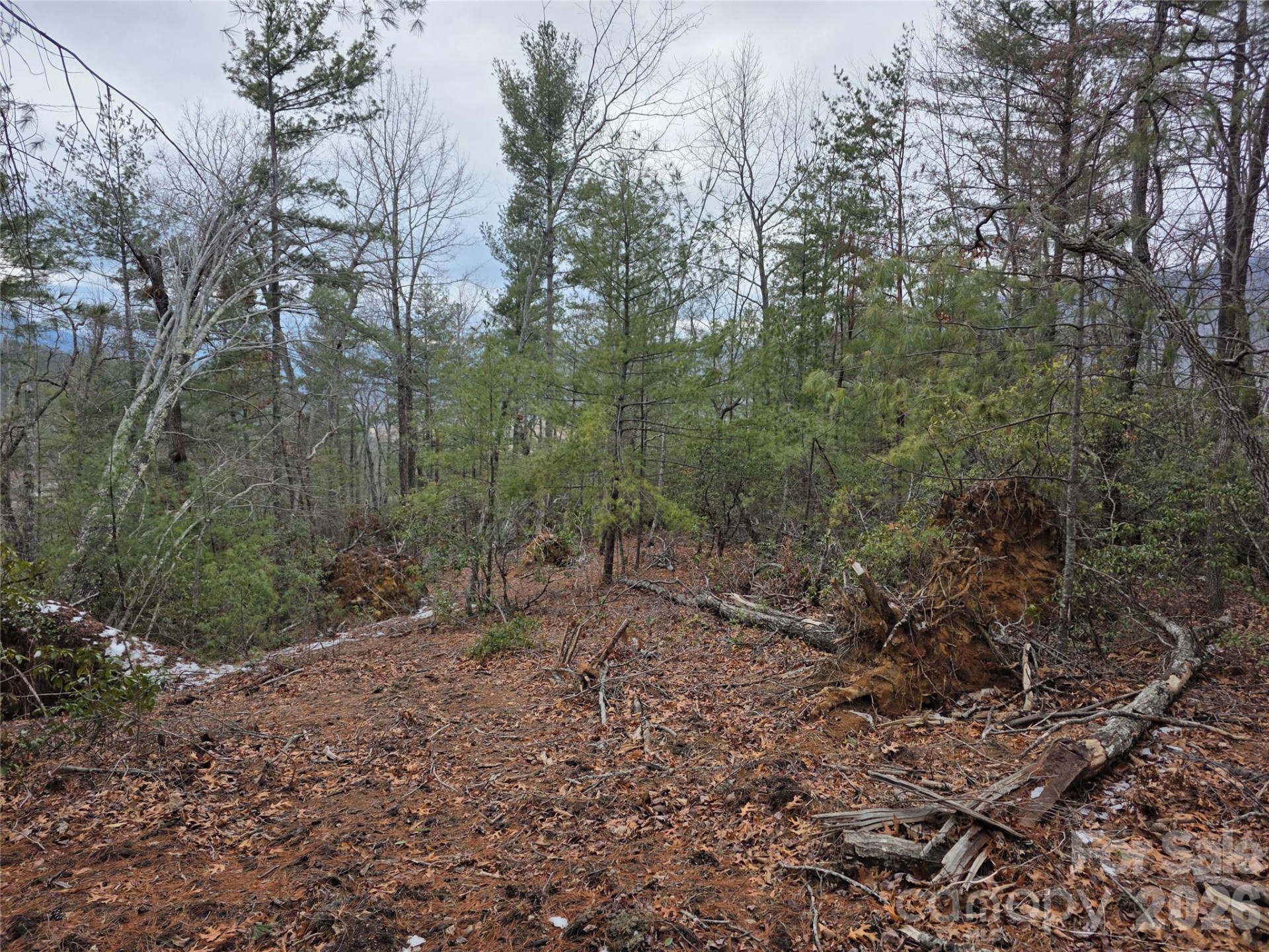 Lot 24A-28A Quail Drive - Photo 10