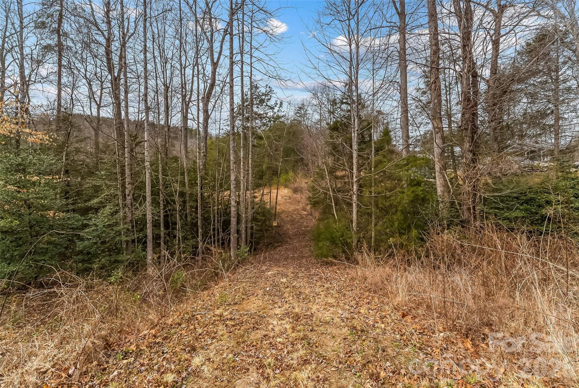 1350 Lavender Road - Photo 11