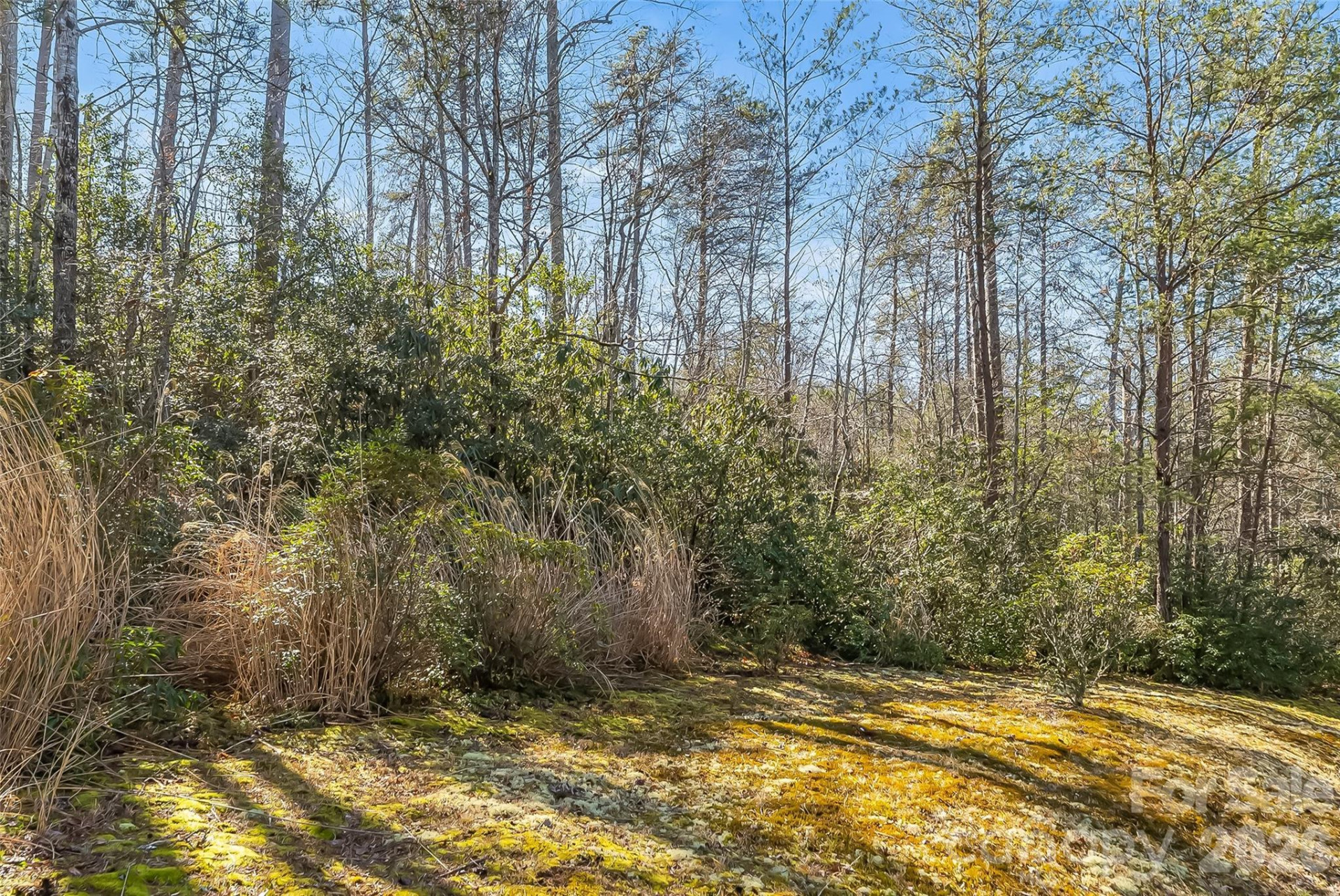 1350 Lavender Road - Photo 14