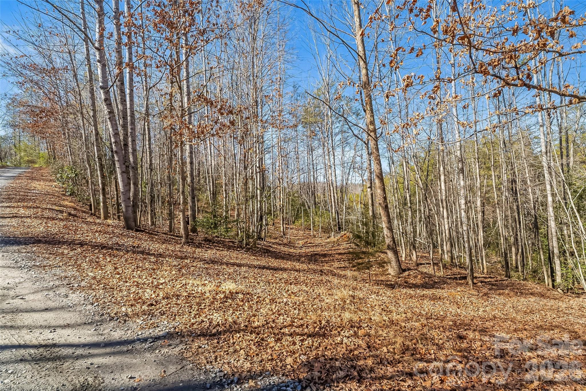 1350 Lavender Road - Photo 18