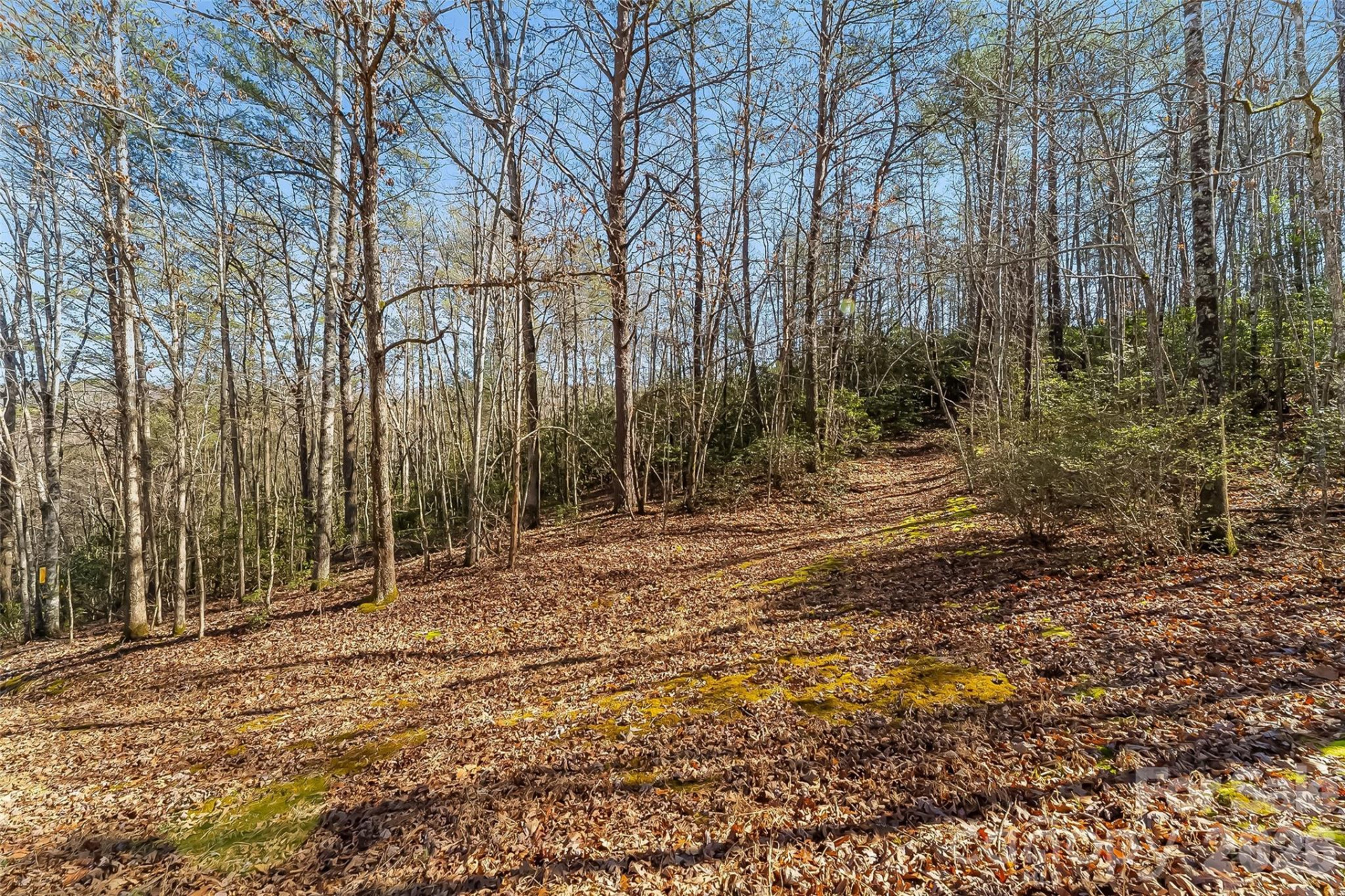 1350 Lavender Road - Photo 19