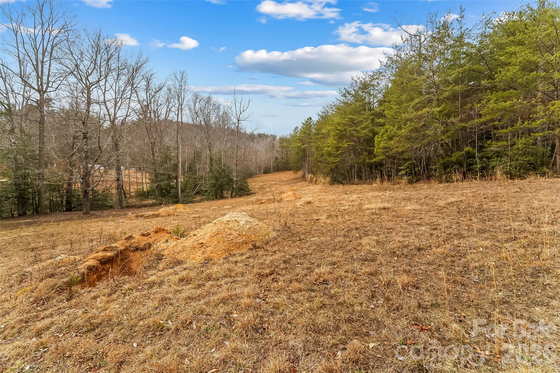 1350 Lavender Road - Photo 7