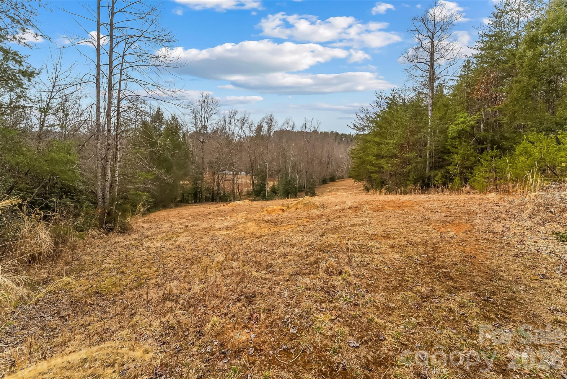 1350 Lavender Road - Photo 10