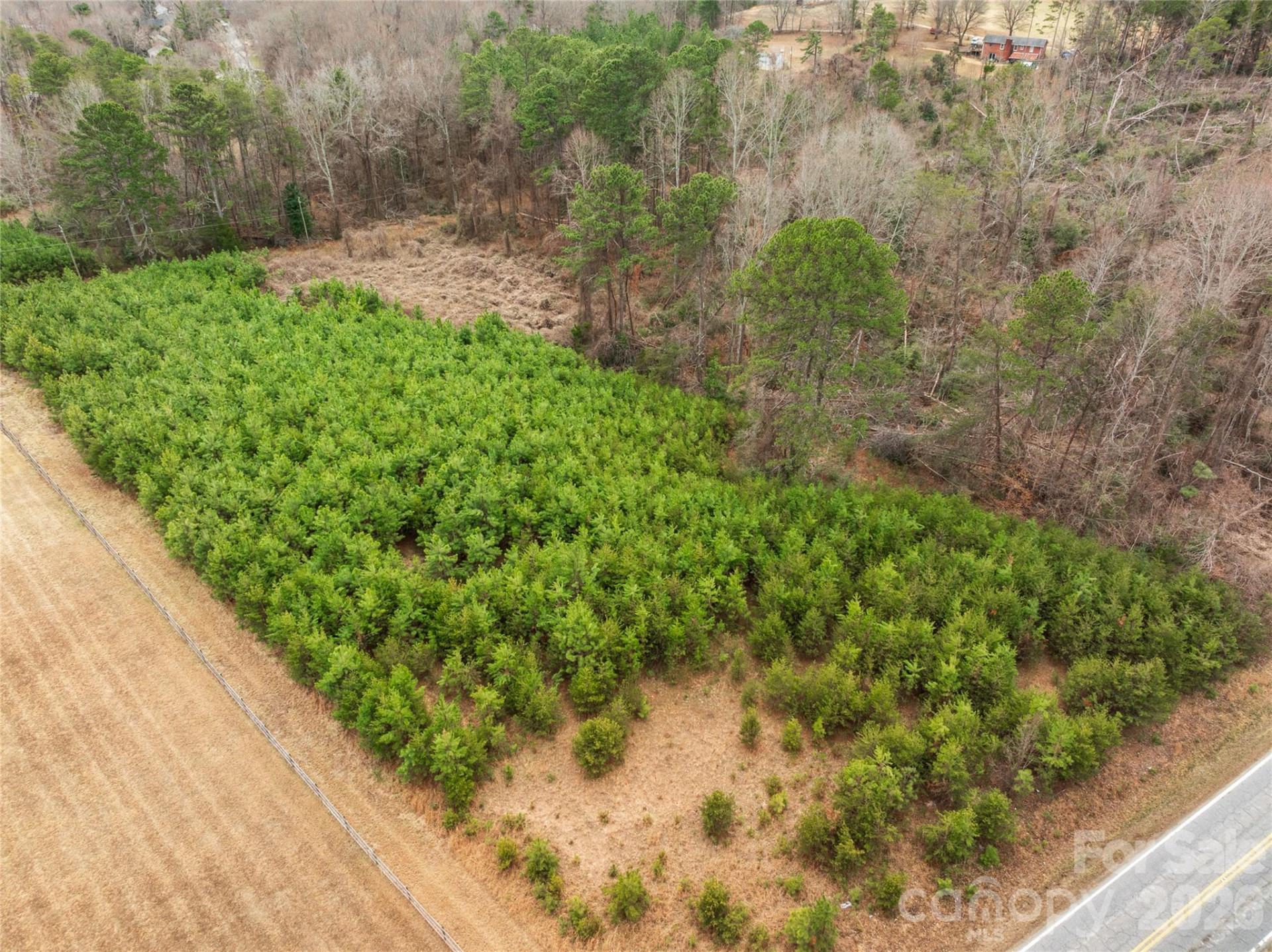 0 NC Hwy 108 Highway - Photo 4