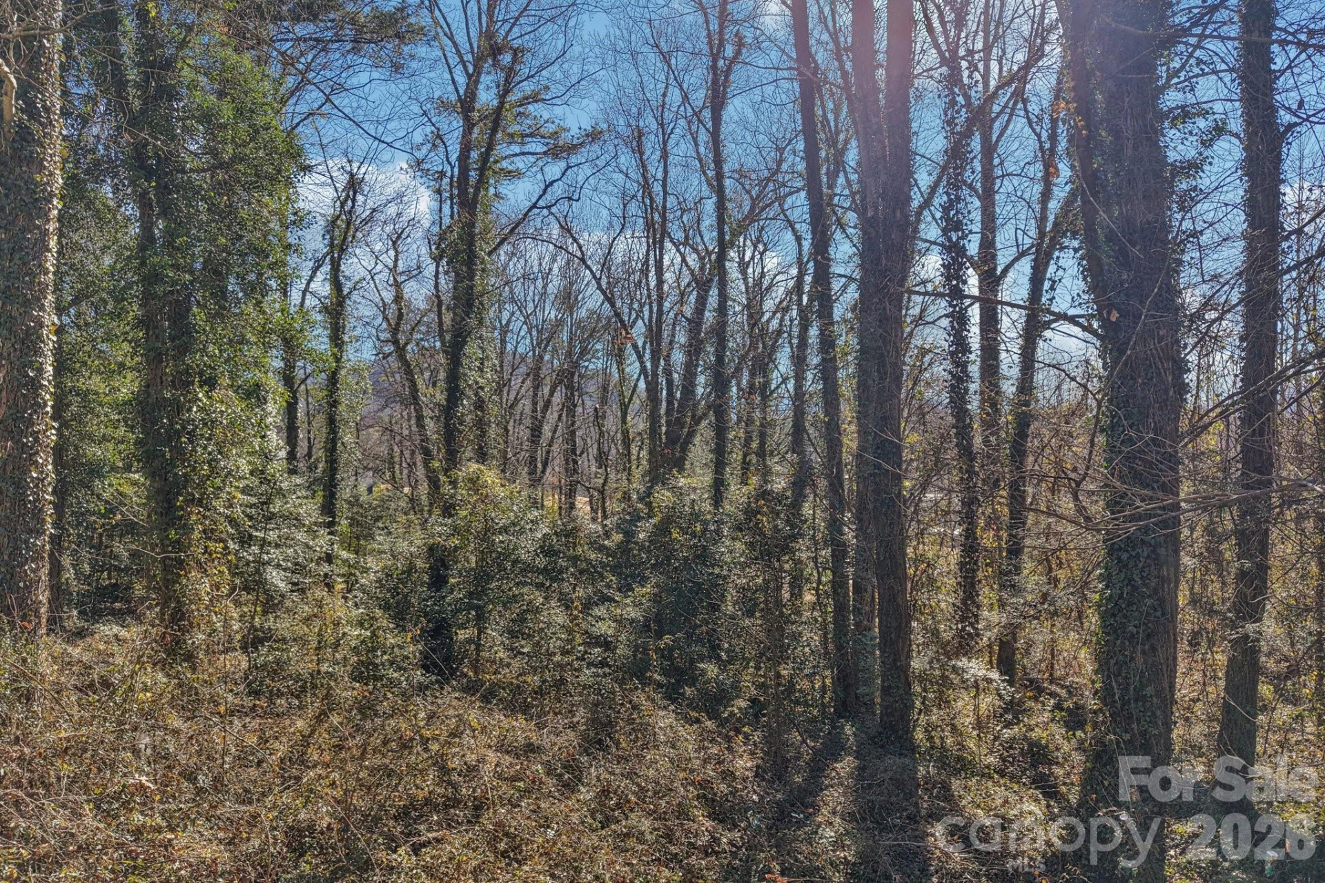 71,73,75 Forest Drive - Photo 26