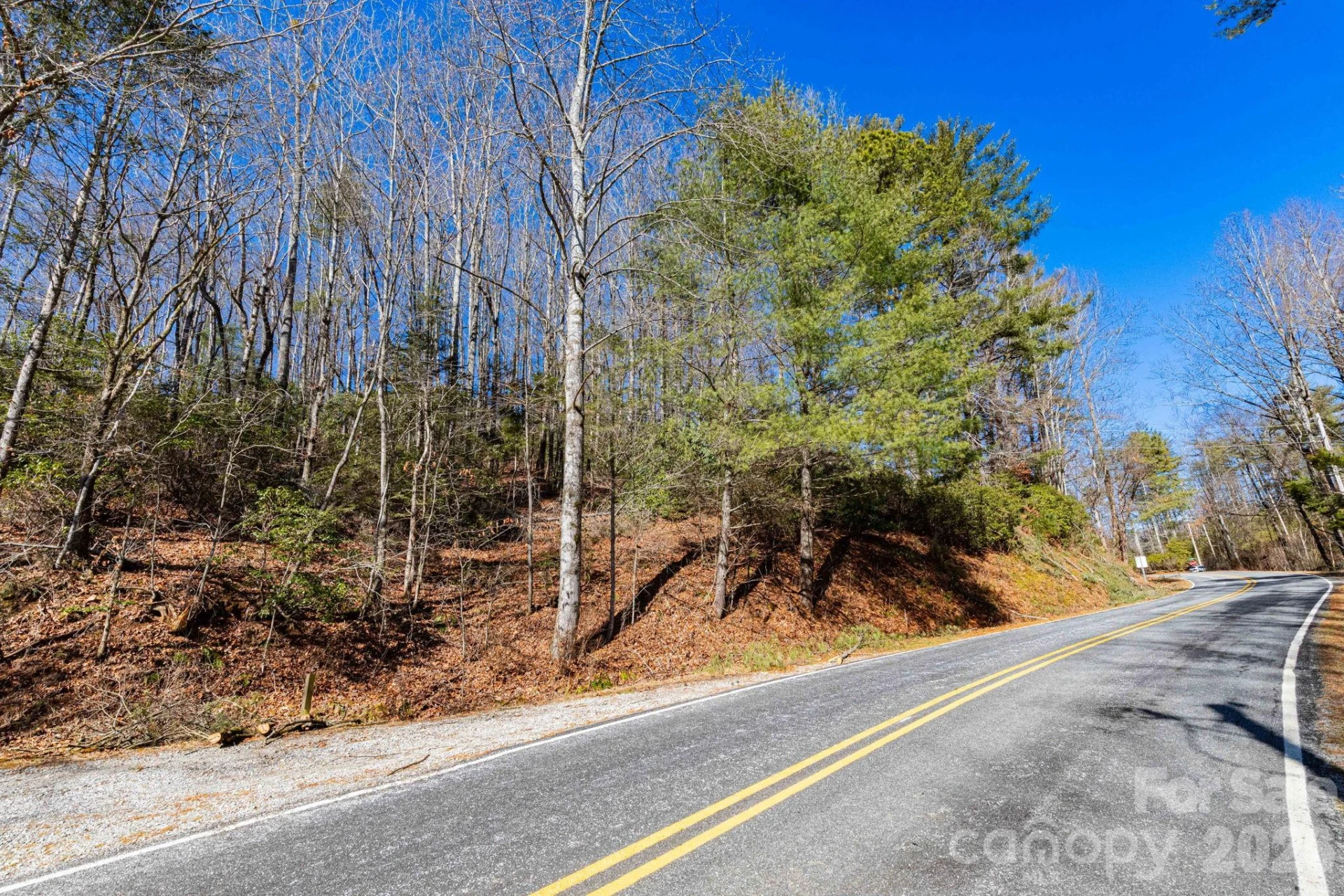 999 Flat Creek Valley Road - Photo 2
