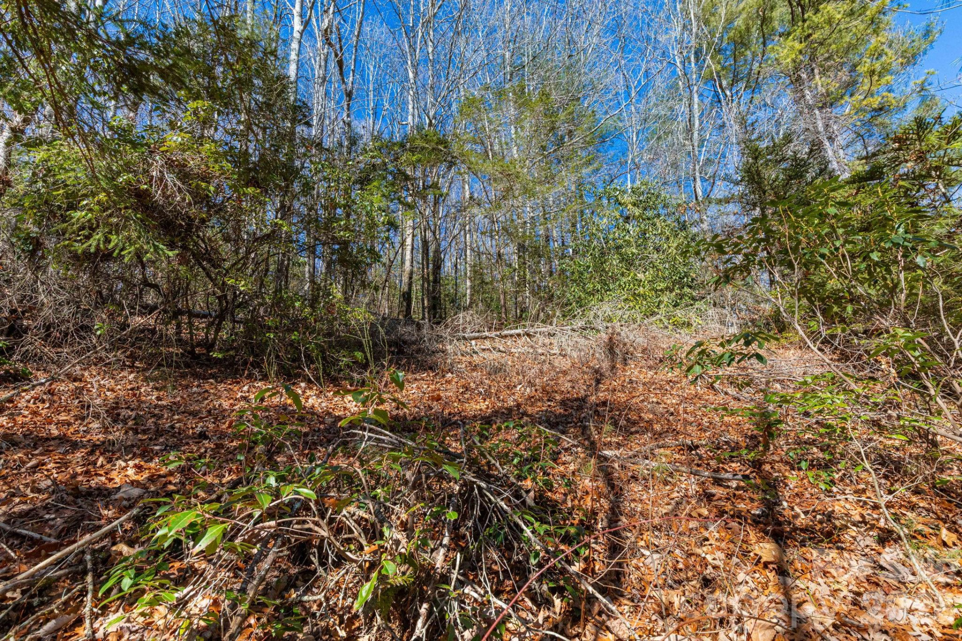 999 Flat Creek Valley Road - Photo 3