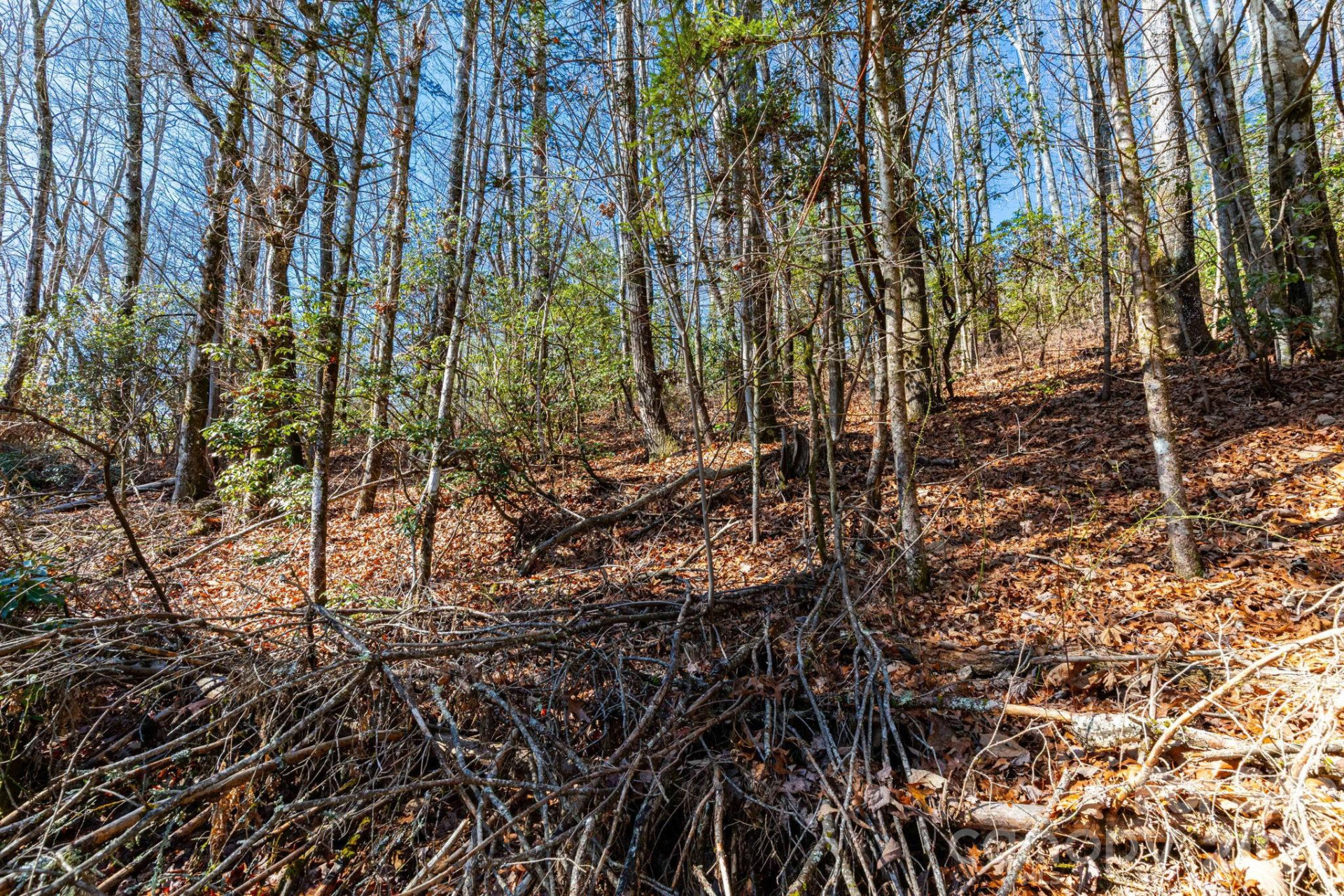 999 Flat Creek Valley Road - Photo 4