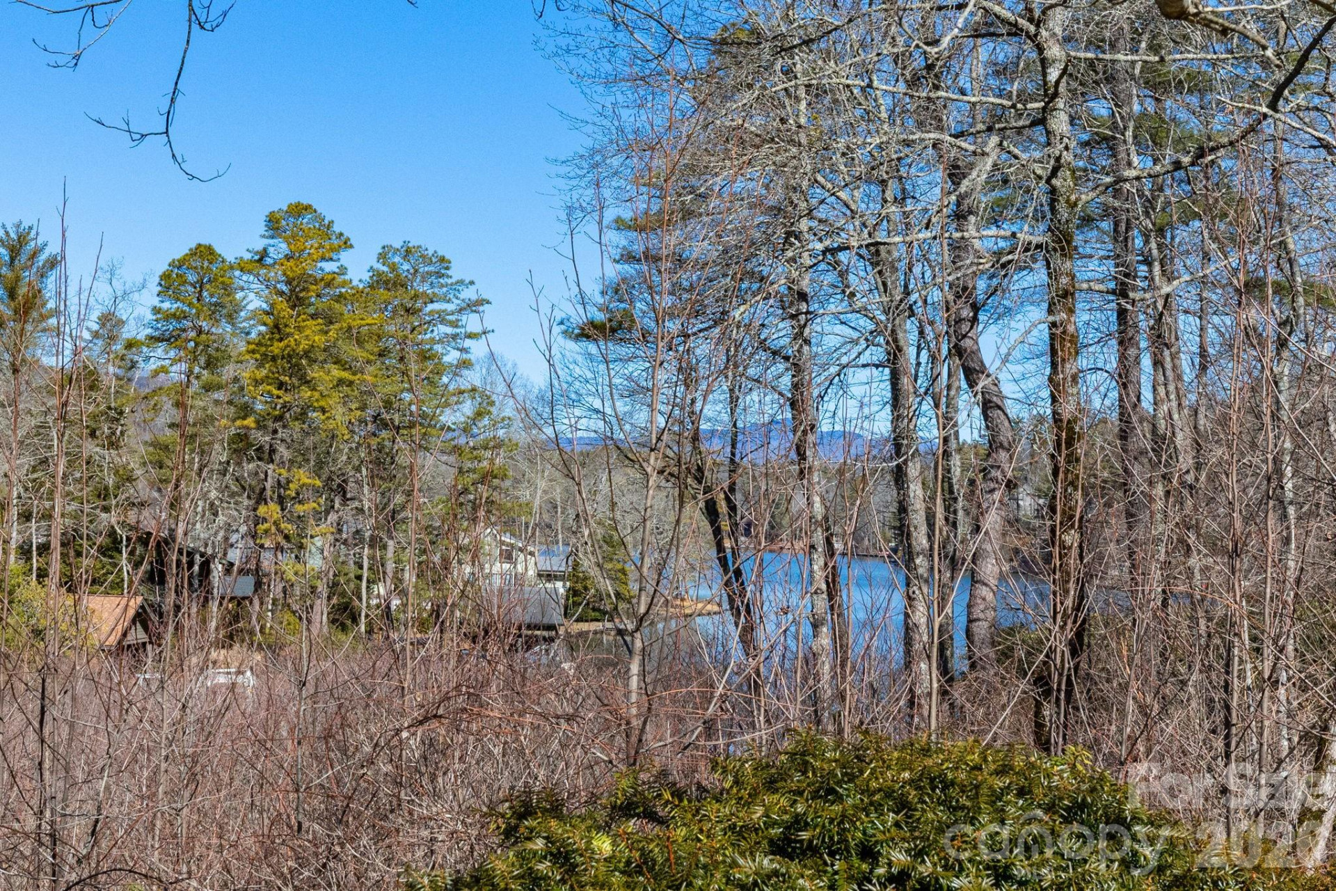 999 Flat Creek Valley Road - Photo 6