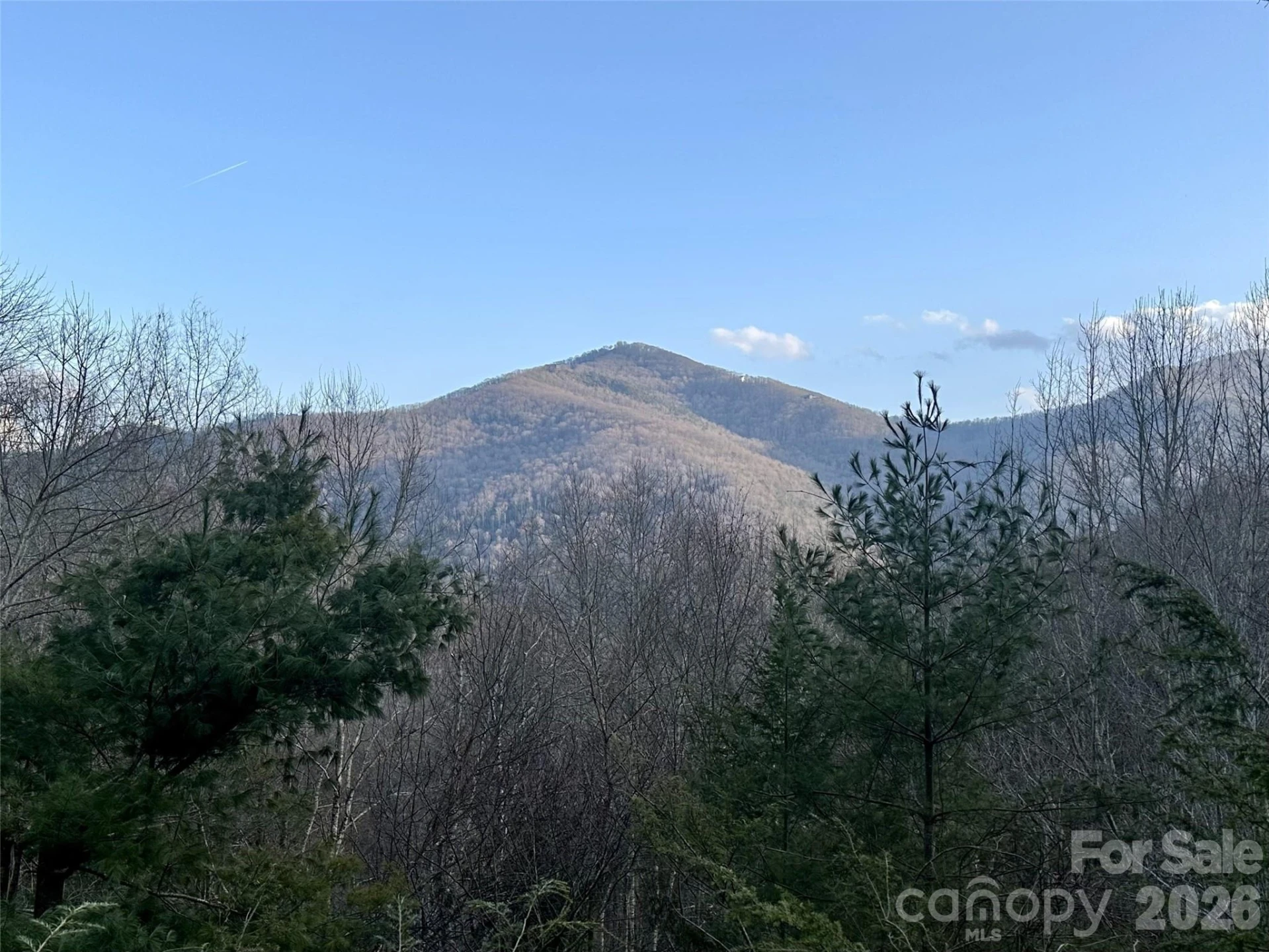 250 Creekside Drive - Photo 2