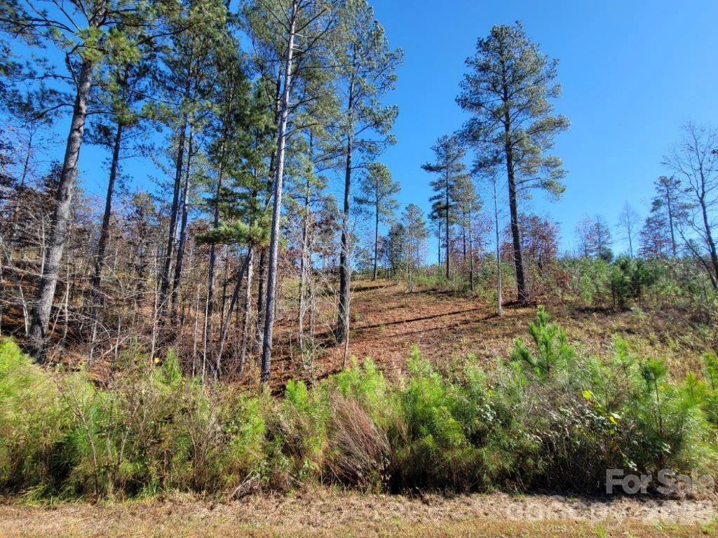 2076 Island View Lane - Photo 3