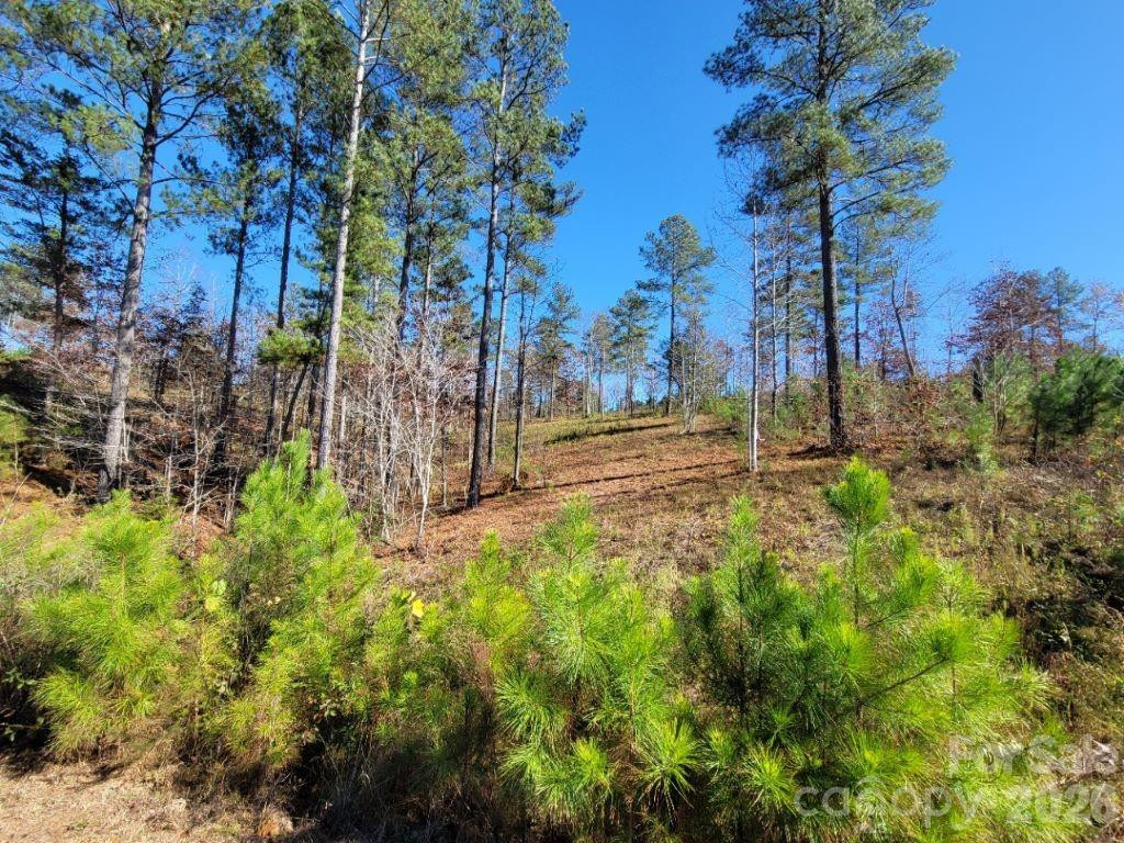 2076 Island View Lane - Photo 4