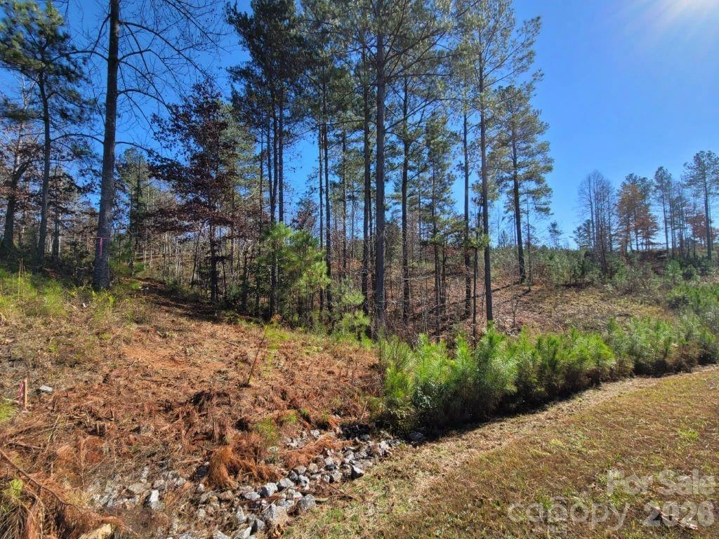 2076 Island View Lane - Photo 5