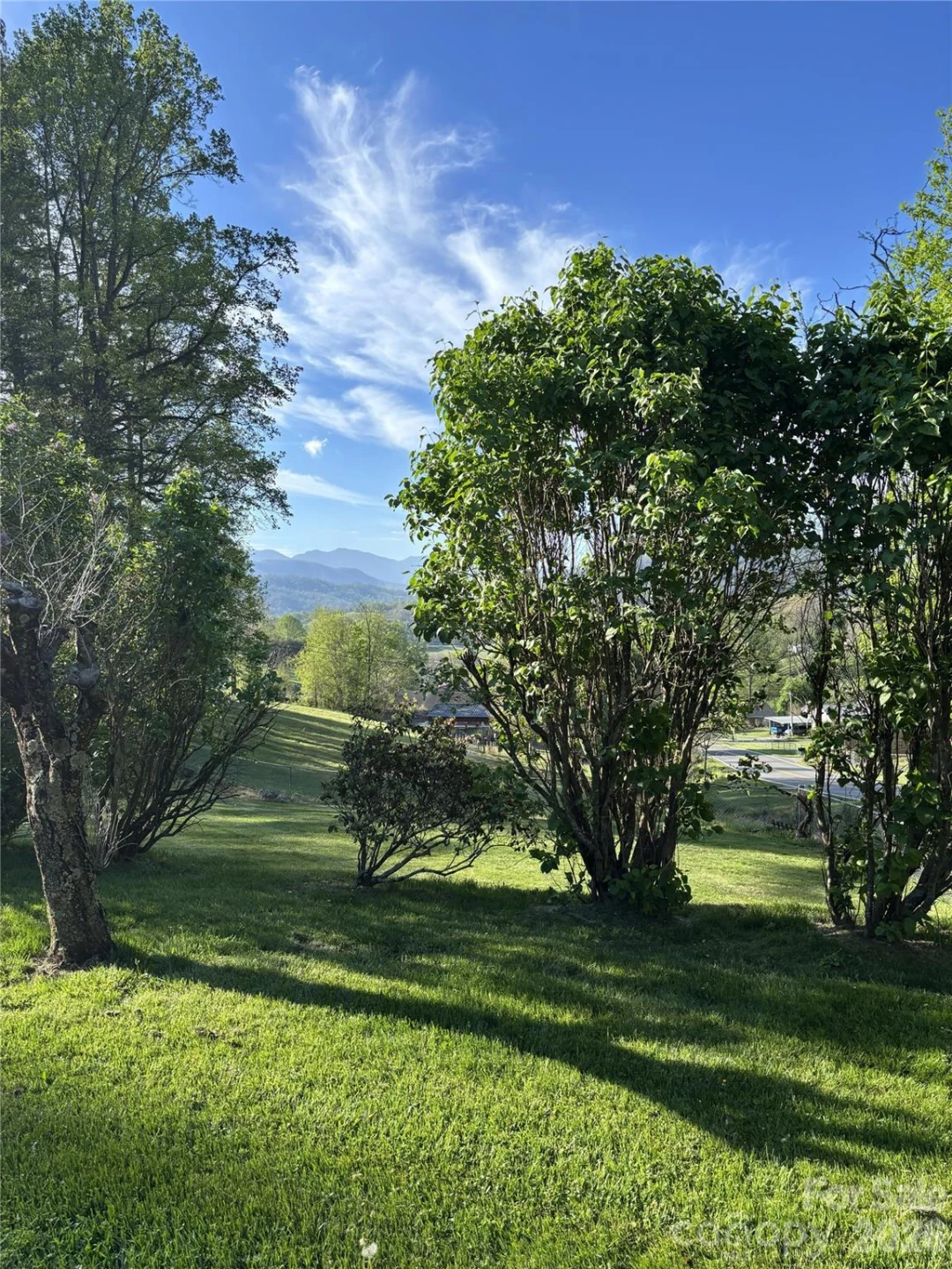 342 Mountain View Road - Photo 4