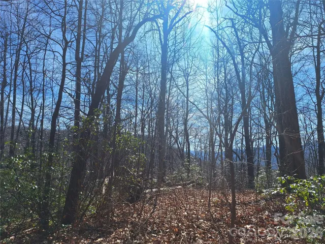 965 Wolf Pen Road, Old Fort, NC, 28762