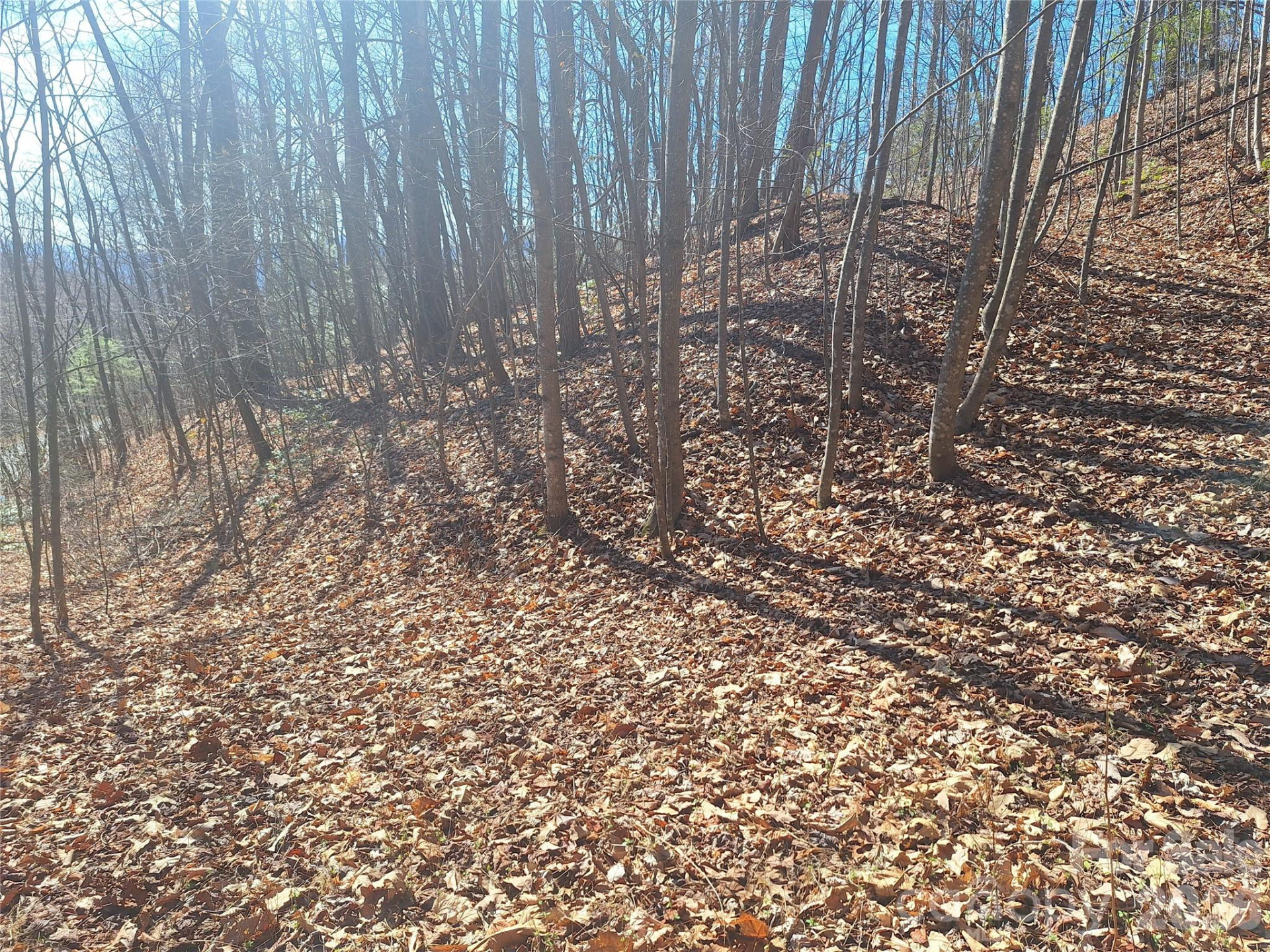 965 Wolf Pen Road - Photo 18