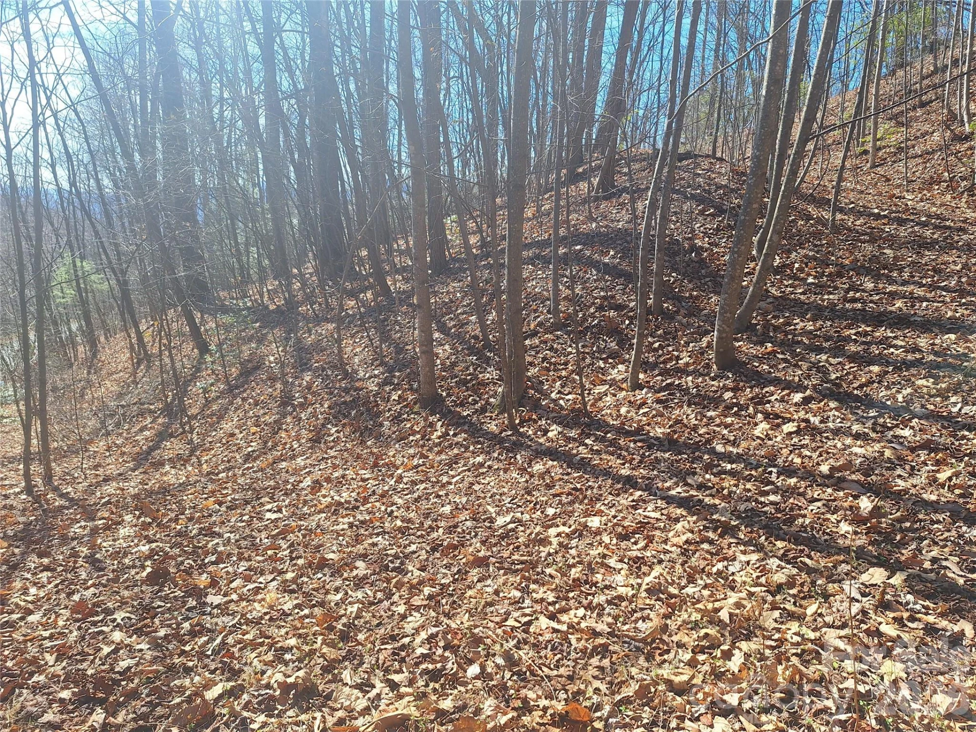 965 Wolf Pen Road - Photo 18