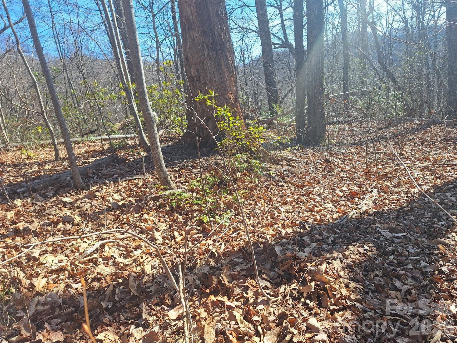 965 Wolf Pen Road - Photo 20