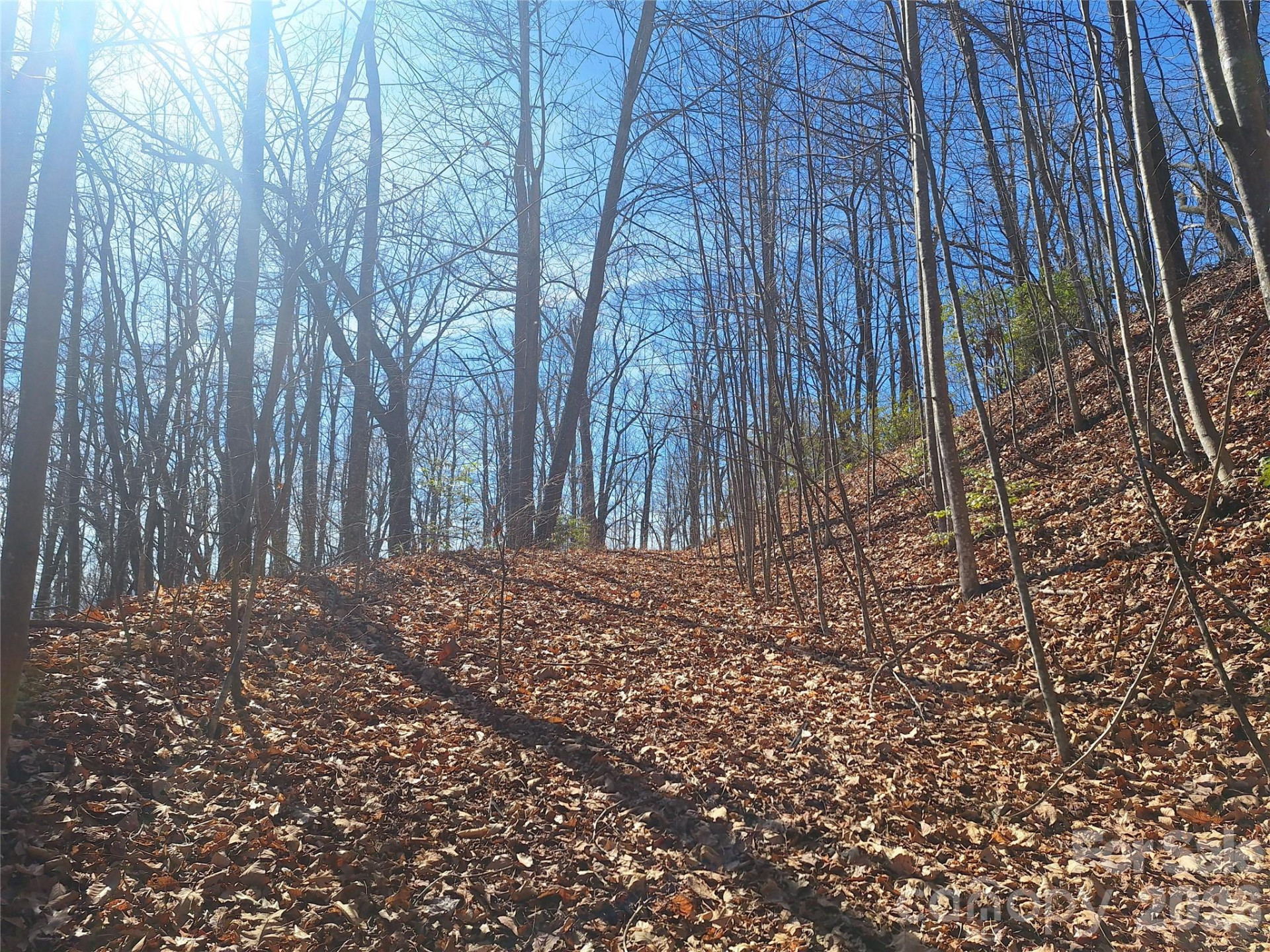 965 Wolf Pen Road - Photo 3