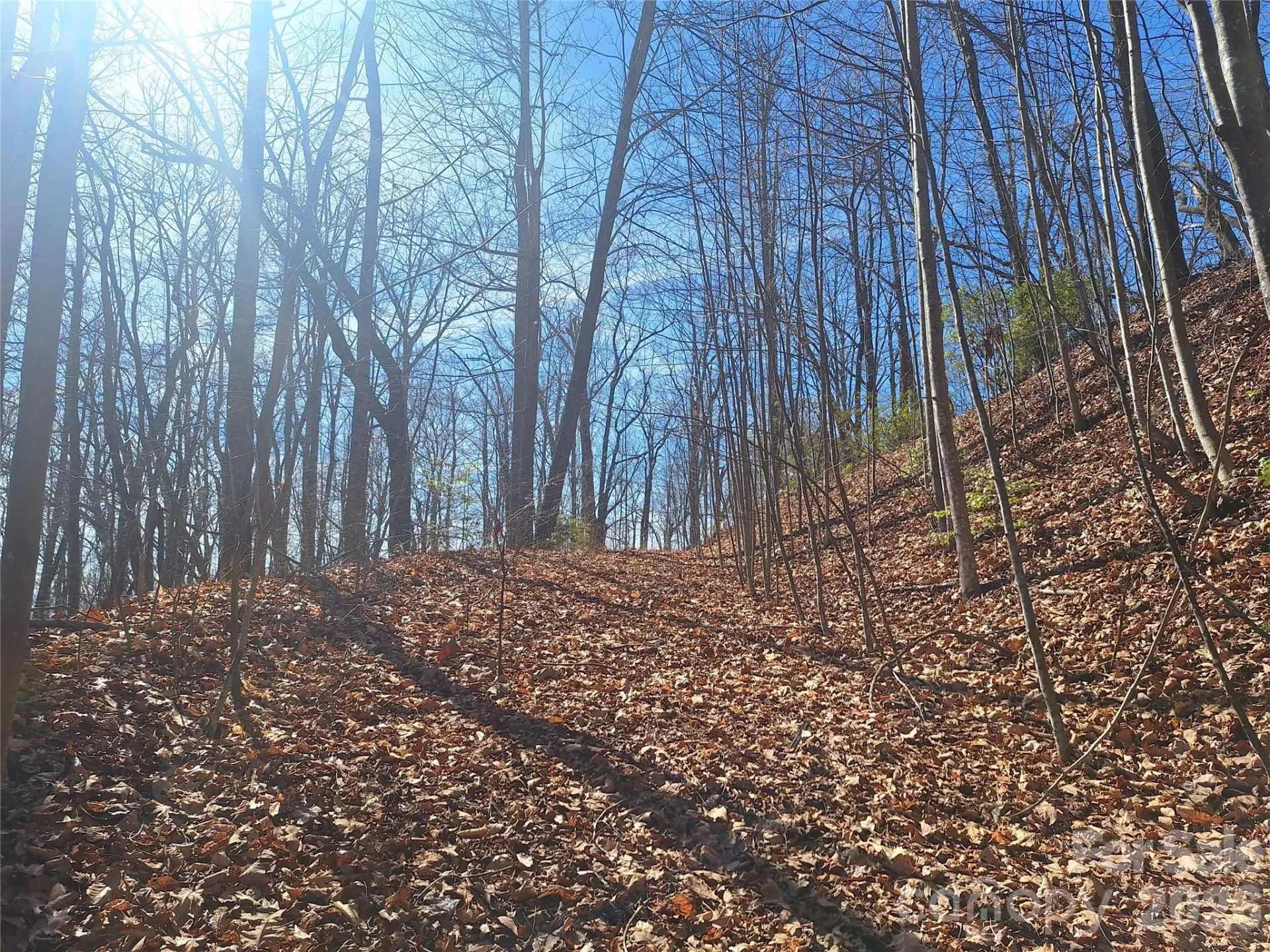 965 Wolf Pen Road - Photo 3