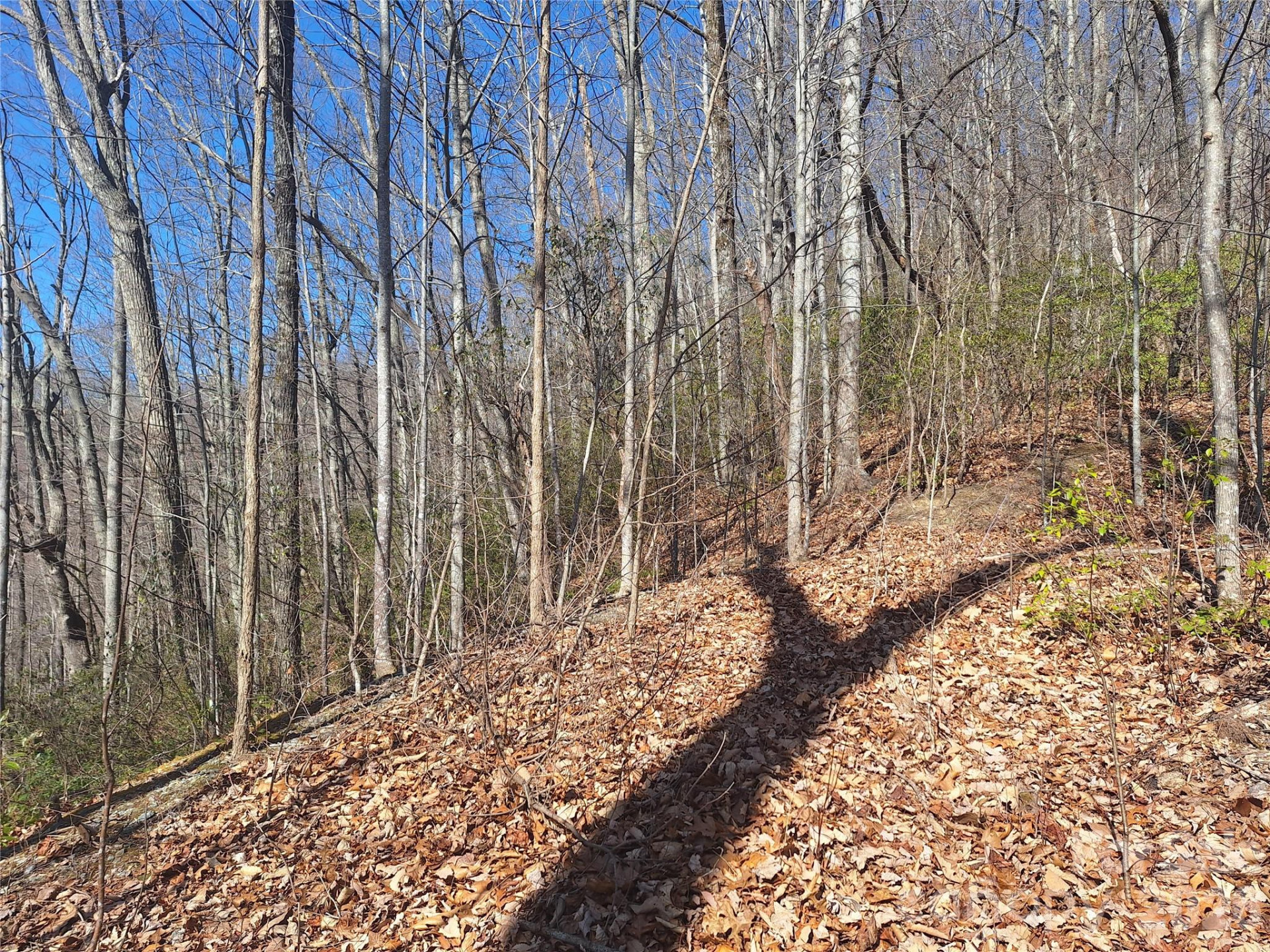 965 Wolf Pen Road - Photo 21