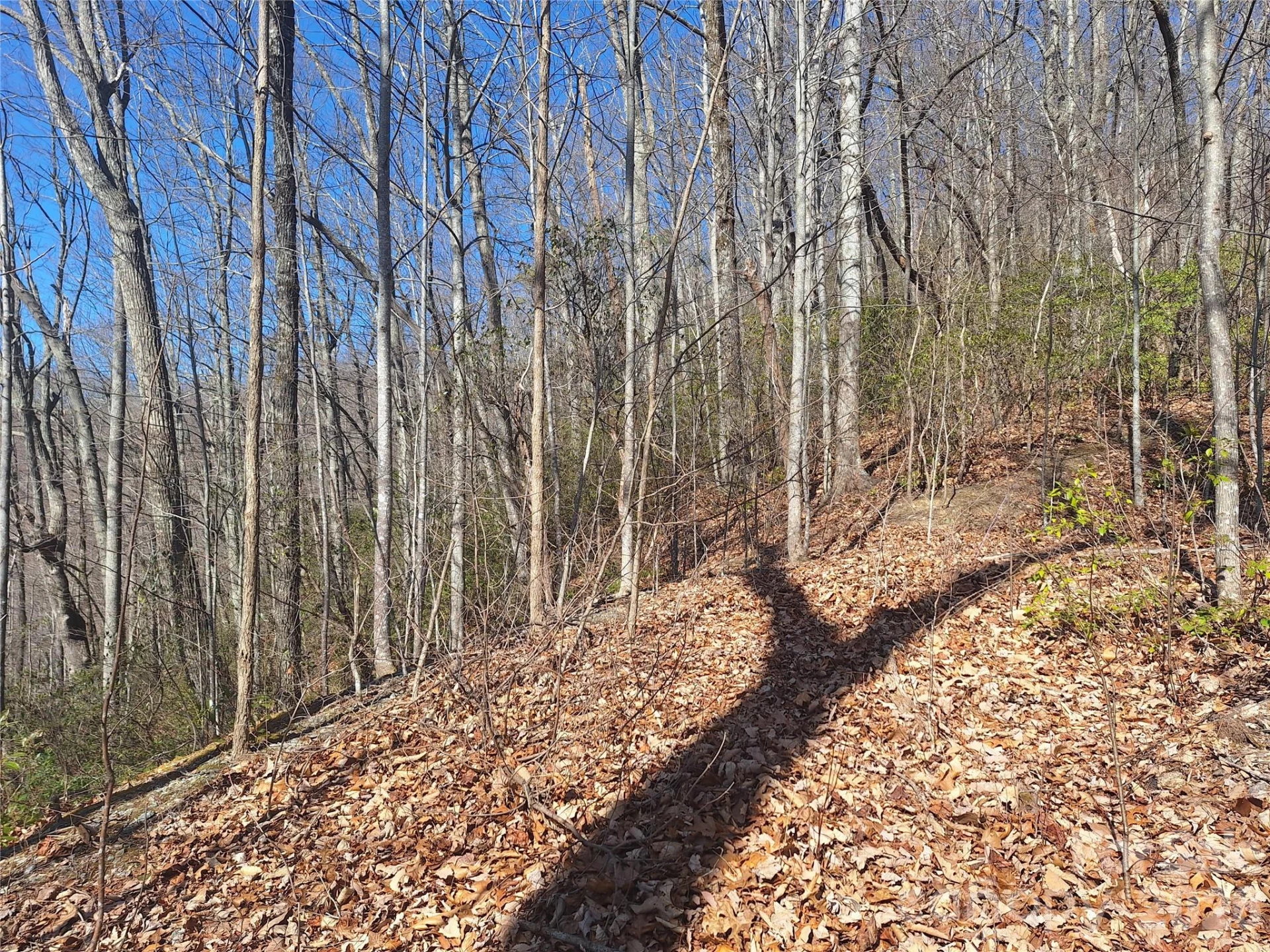 965 Wolf Pen Road - Photo 21