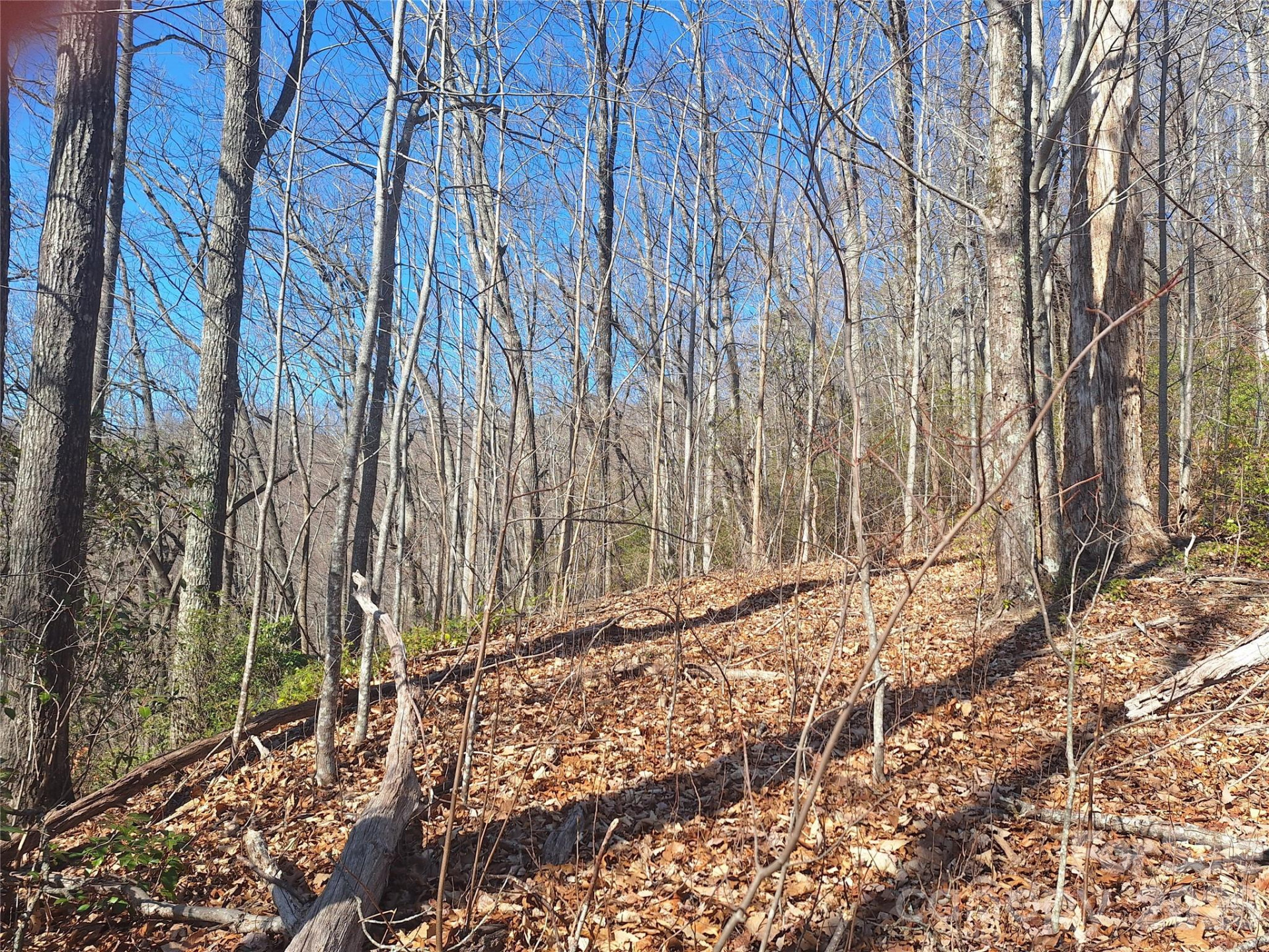 965 Wolf Pen Road - Photo 22