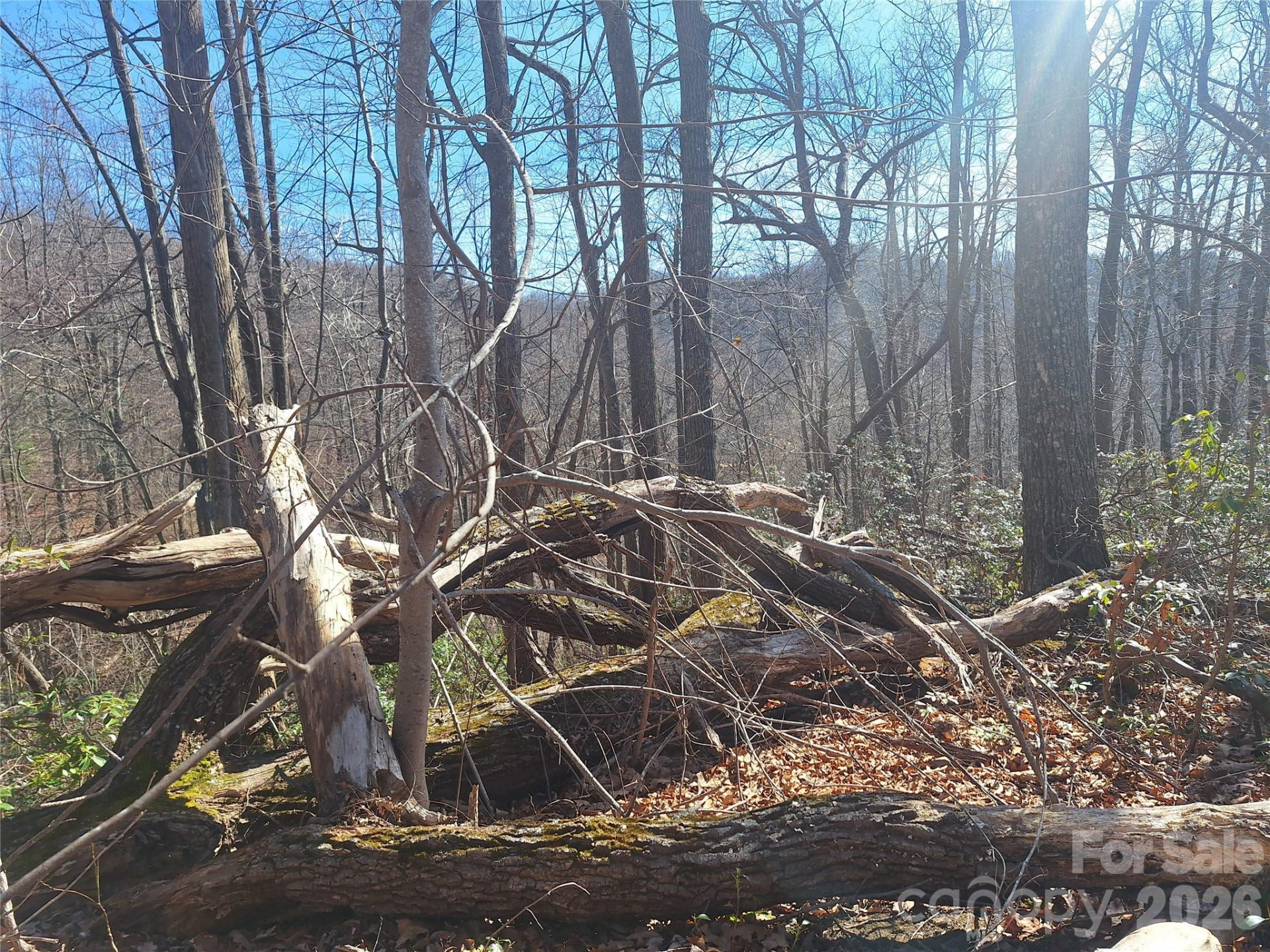 965 Wolf Pen Road - Photo 23