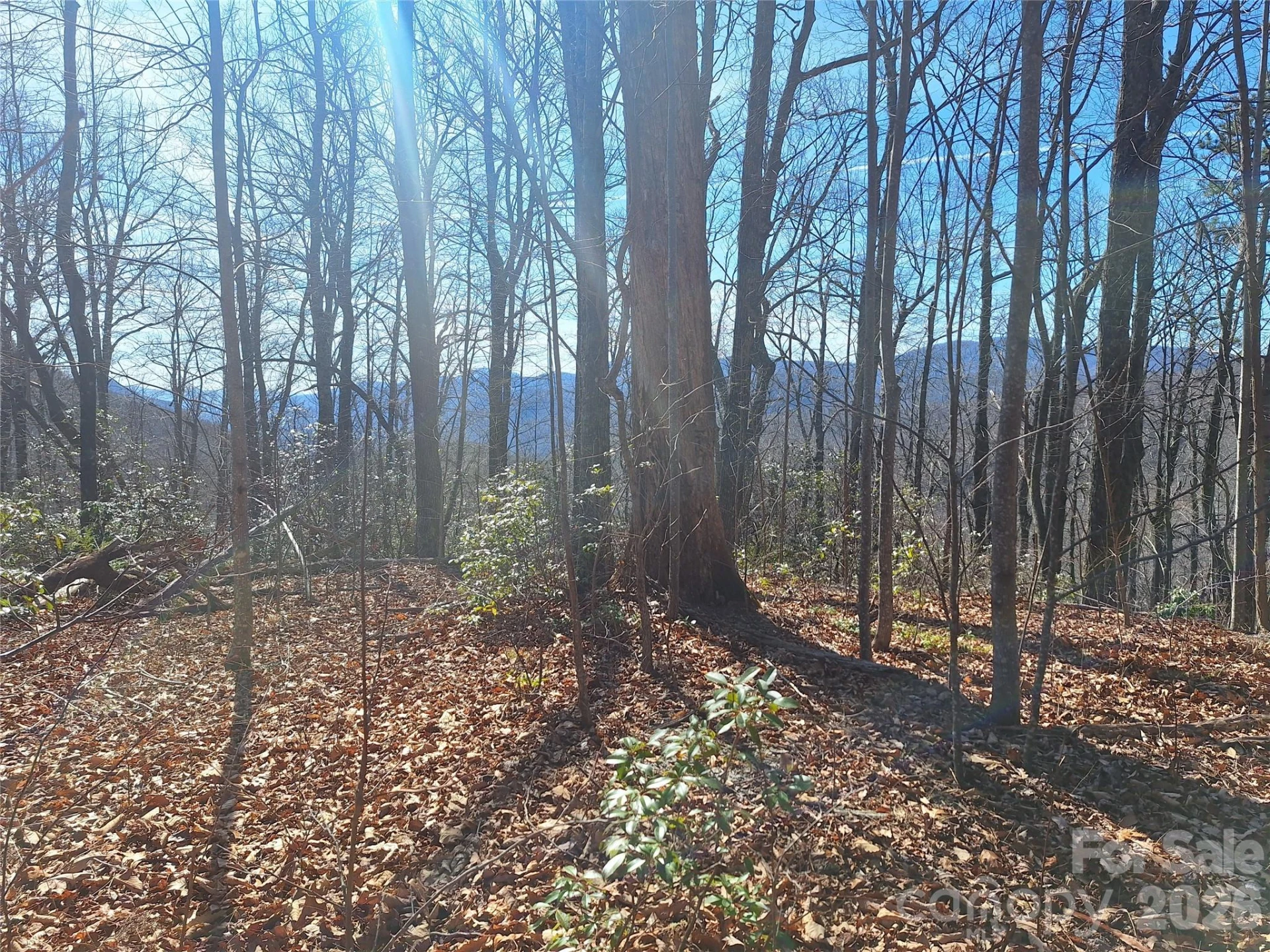 965 Wolf Pen Road - Photo 24