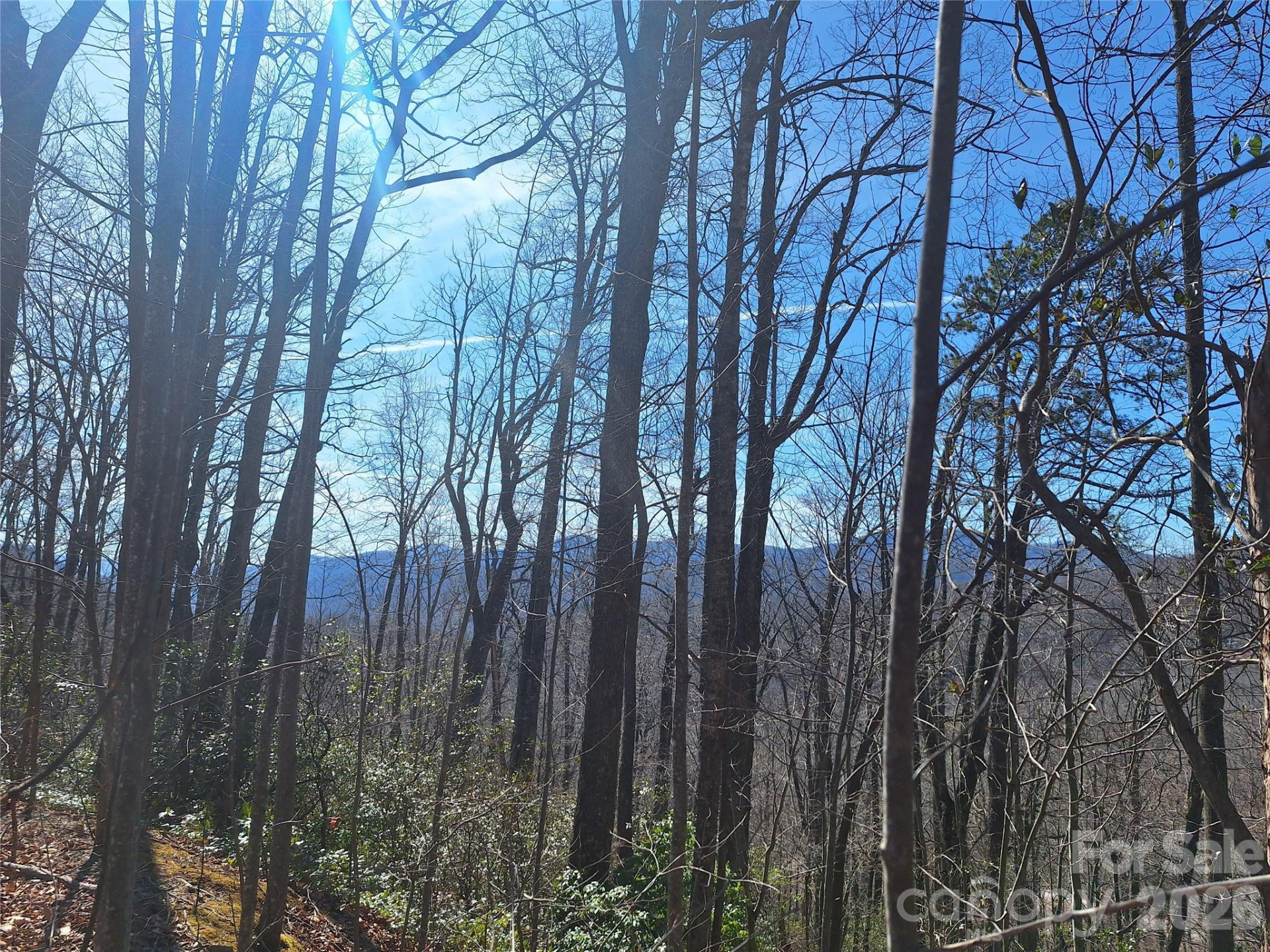 965 Wolf Pen Road - Photo 25