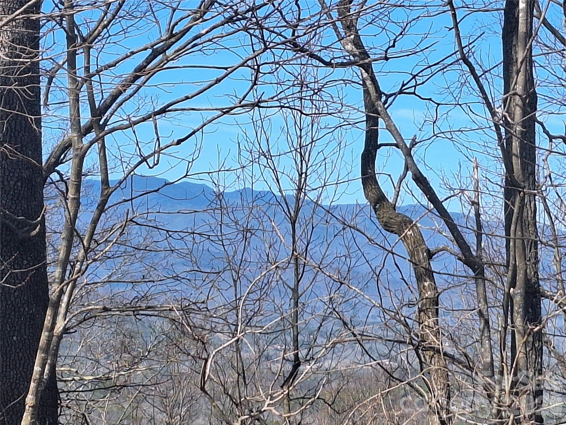 965 Wolf Pen Road - Photo 26