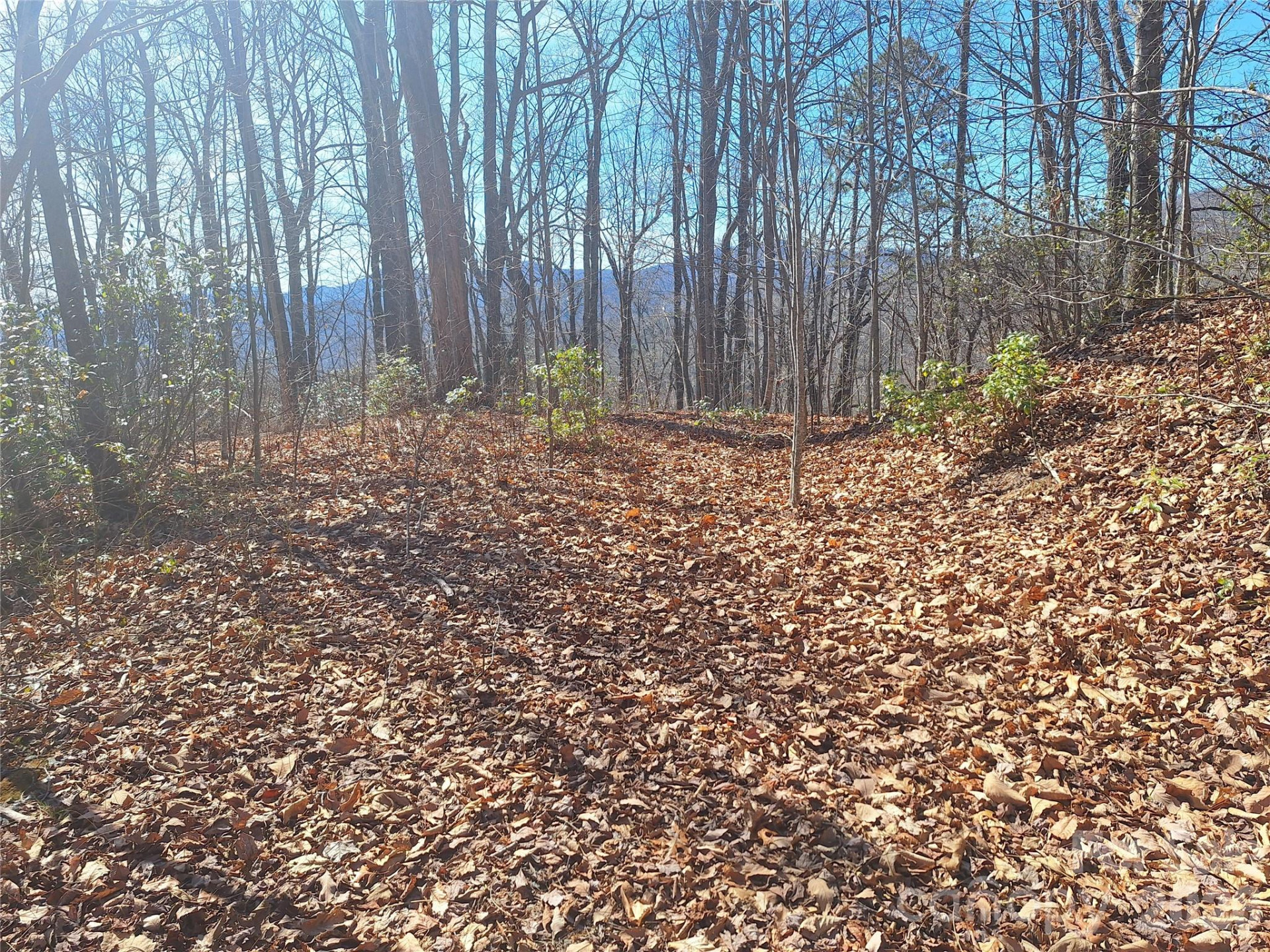 965 Wolf Pen Road - Photo 4