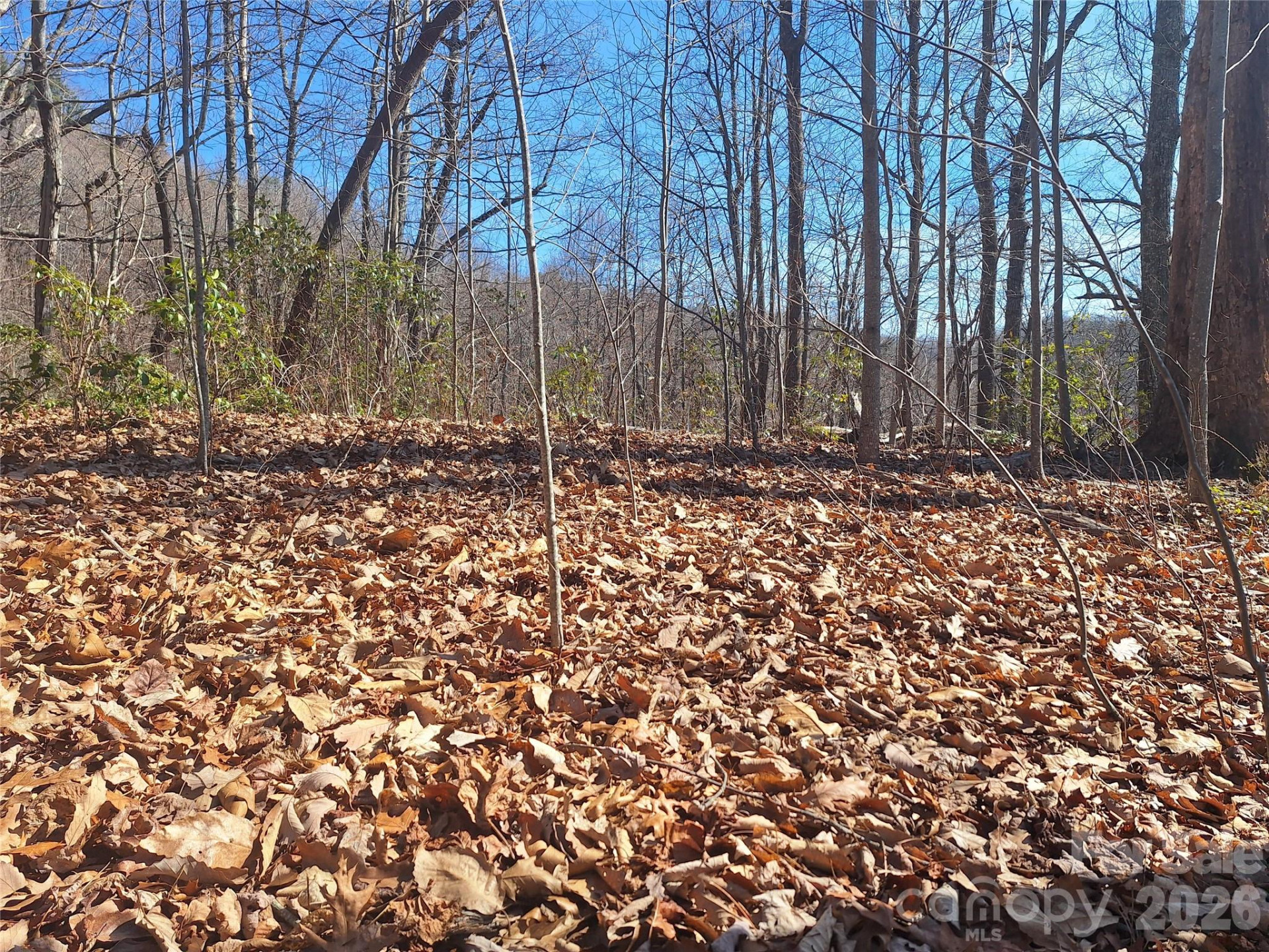 965 Wolf Pen Road - Photo 5