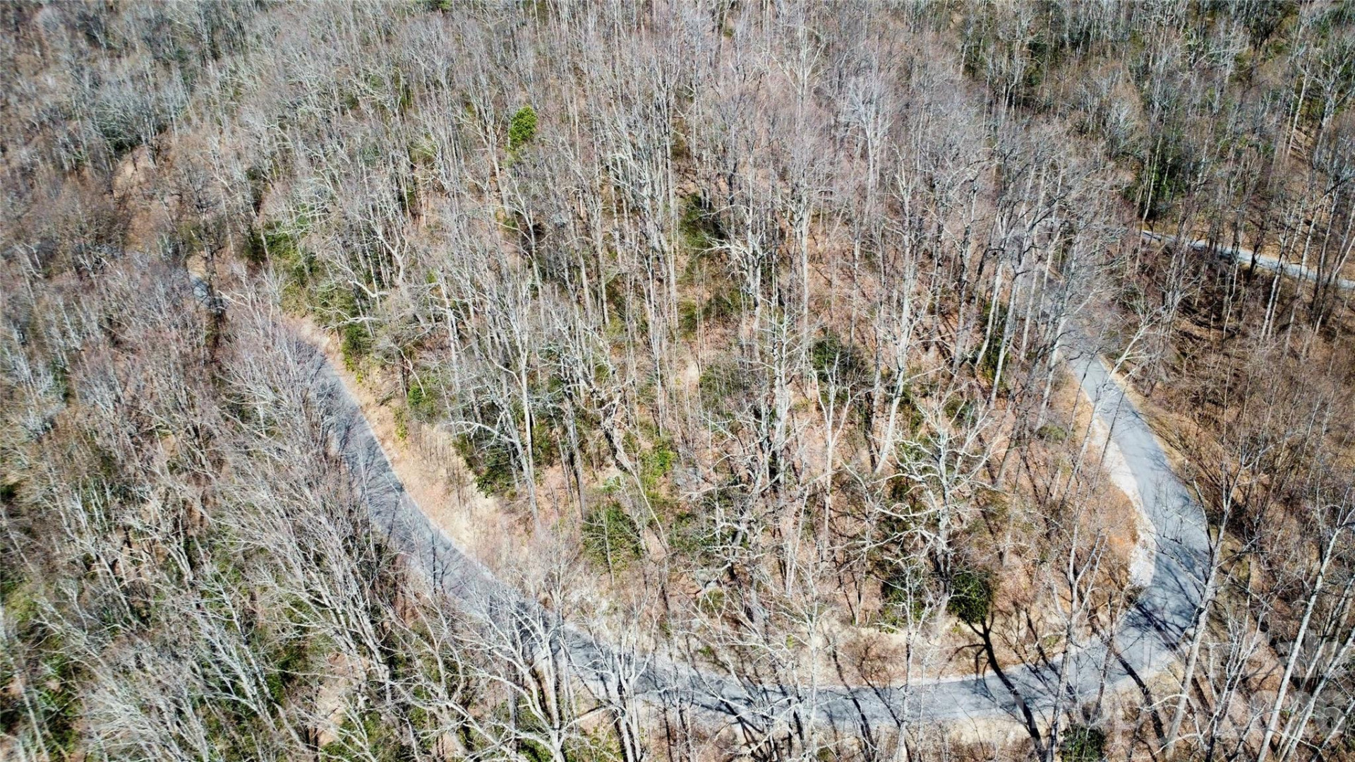 965 Wolf Pen Road - Photo 6