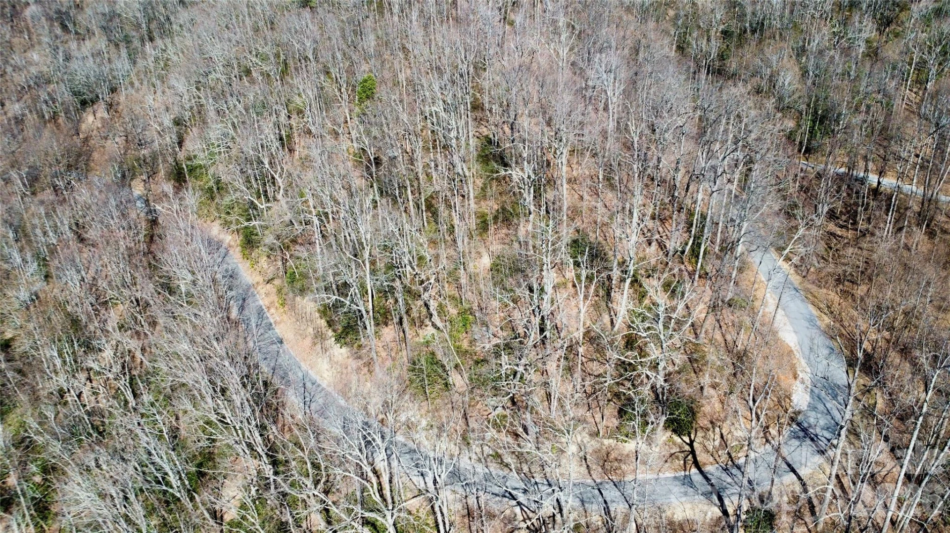 965 Wolf Pen Road - Photo 6