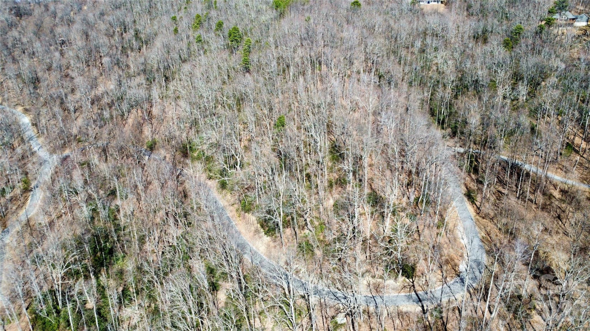 965 Wolf Pen Road - Photo 7