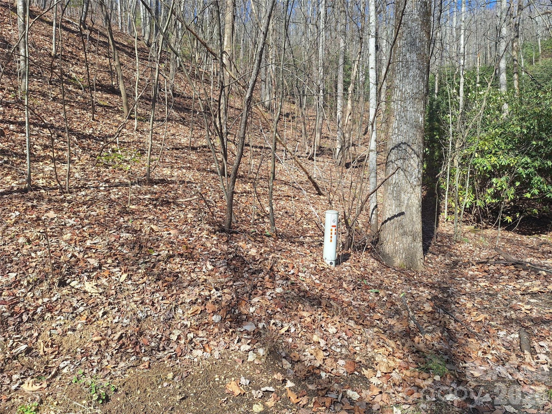 965 Wolf Pen Road - Photo 9