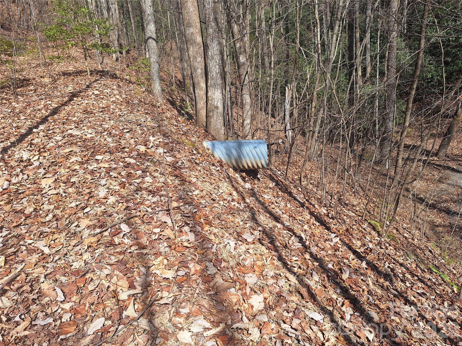 965 Wolf Pen Road - Photo 10