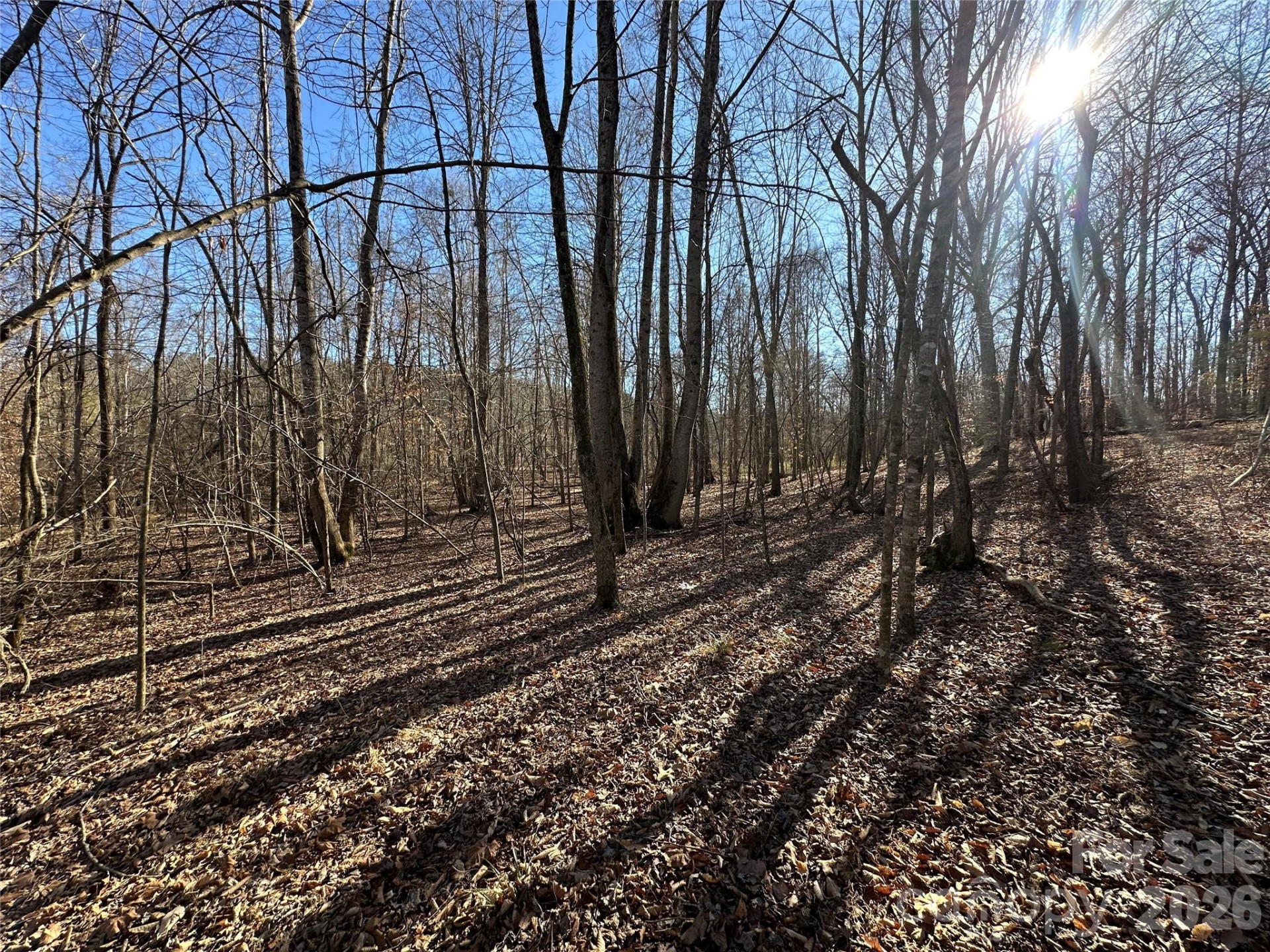 99999 River Crest Parkway - Photo 11