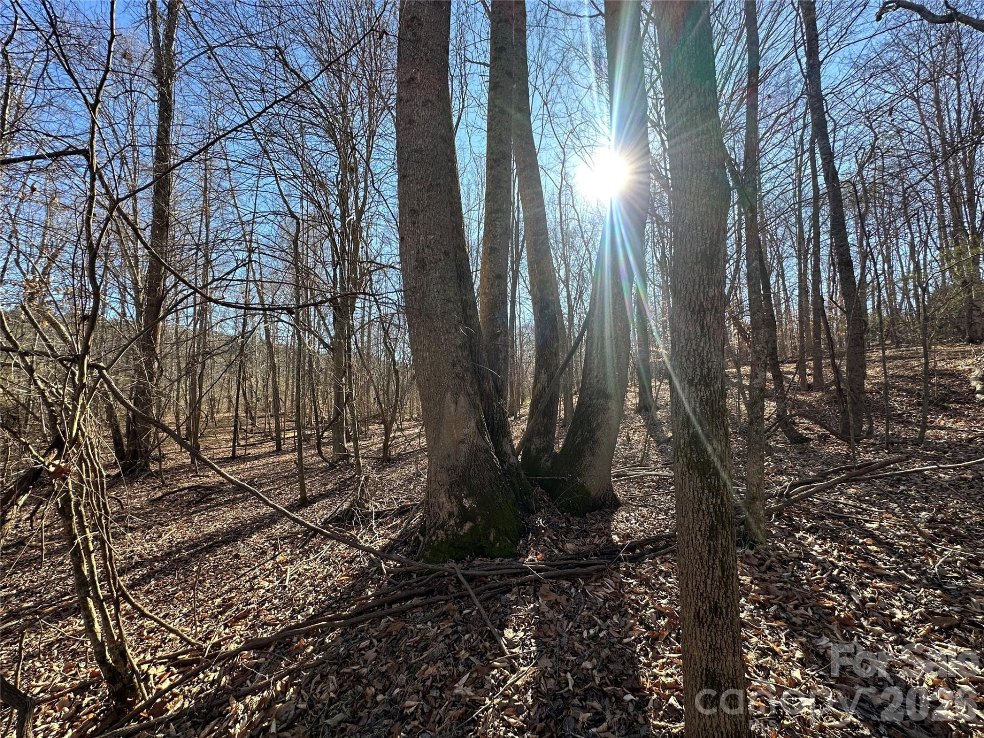 99999 River Crest Parkway - Photo 12