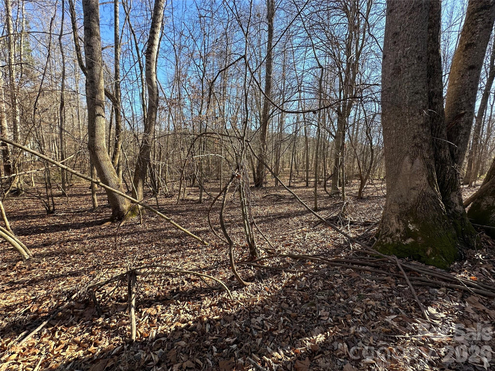 99999 River Crest Parkway - Photo 13