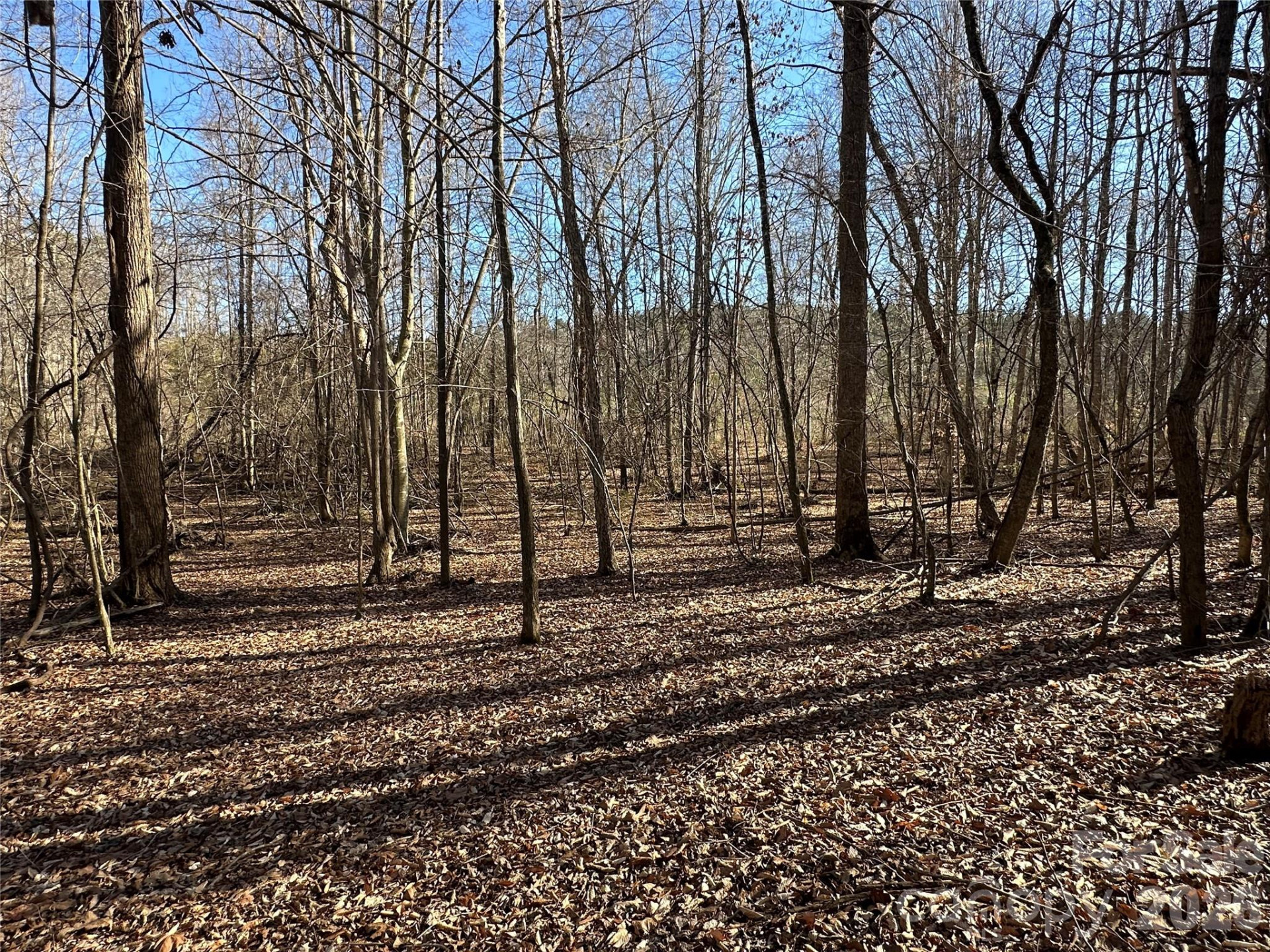 99999 River Crest Parkway - Photo 14