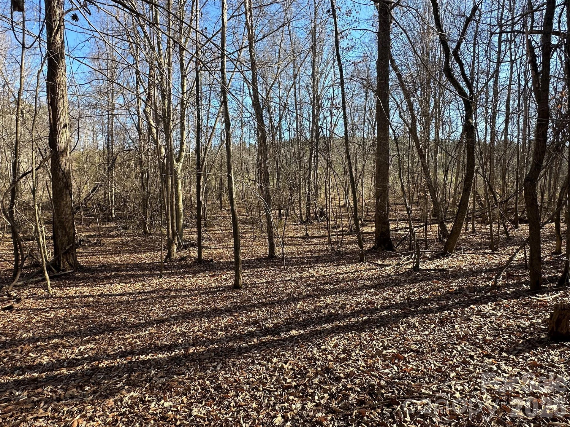 99999 River Crest Parkway - Photo 14