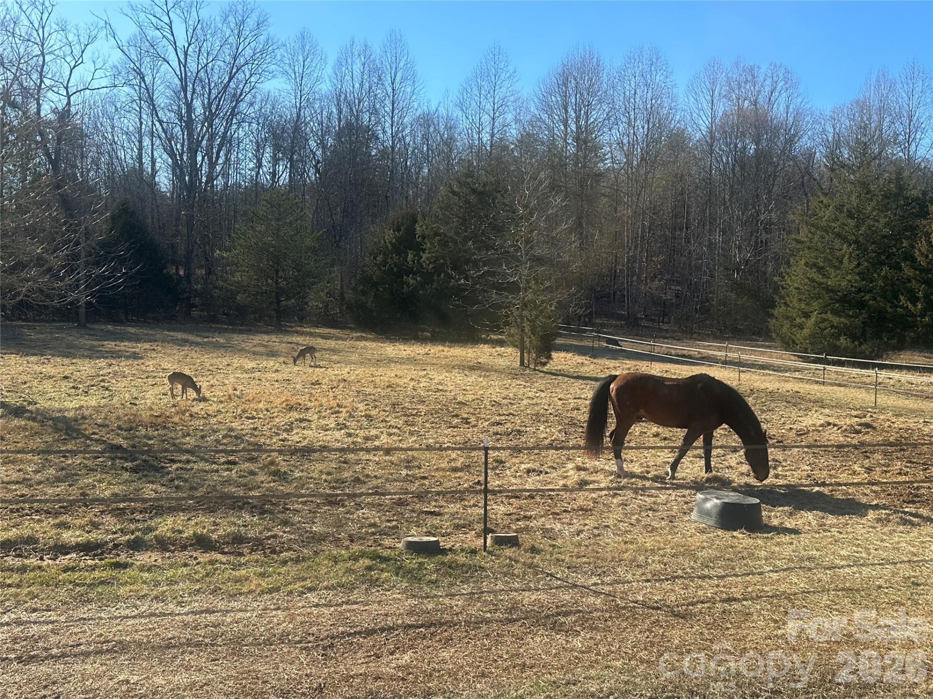 99999 River Crest Parkway - Photo 16