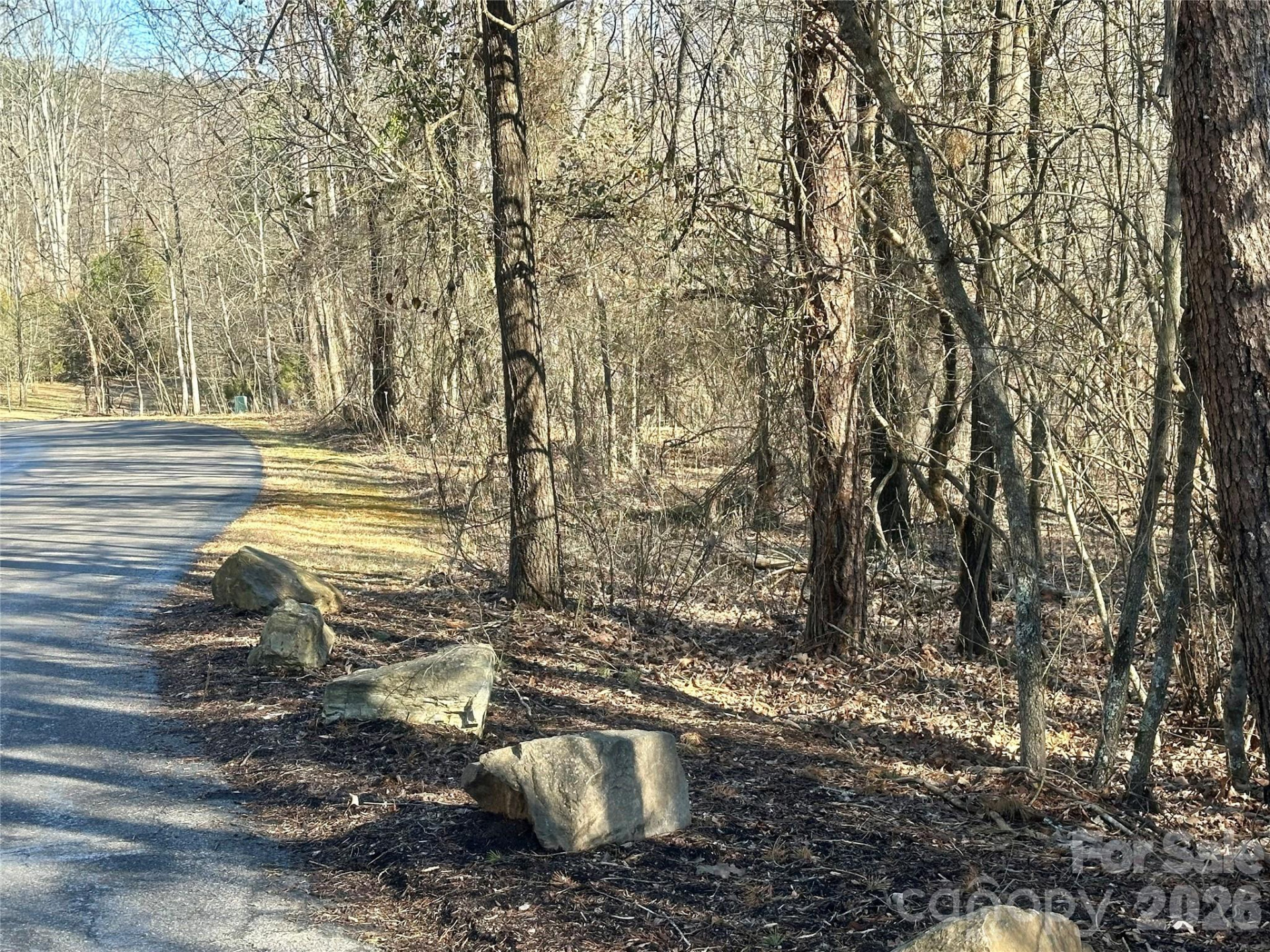 99999 River Crest Parkway - Photo 5