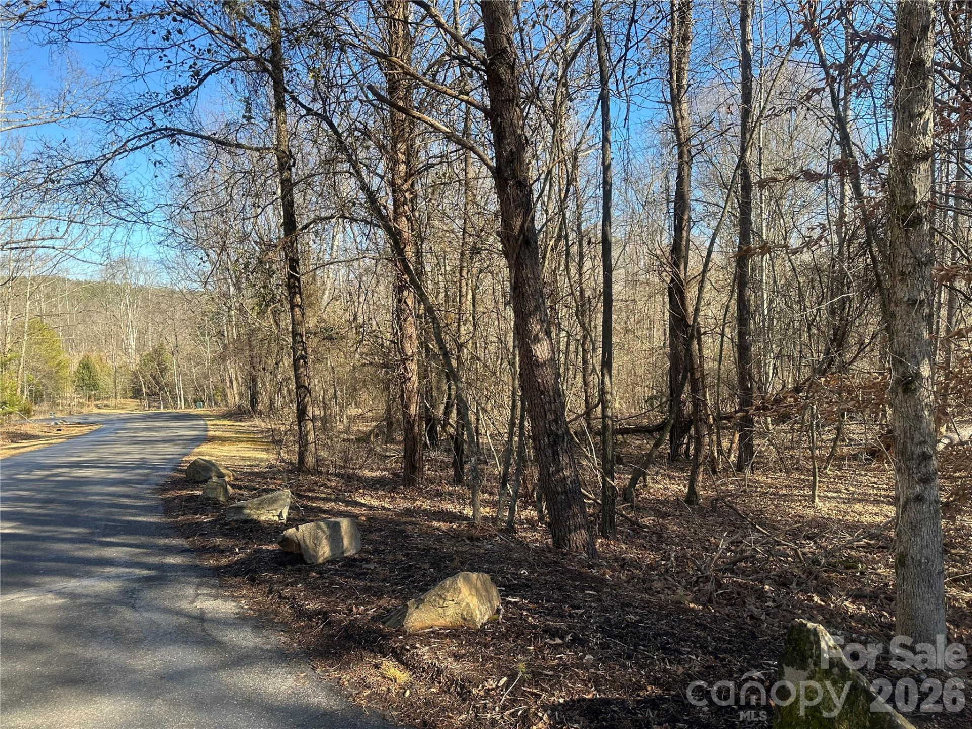 99999 River Crest Parkway - Photo 6