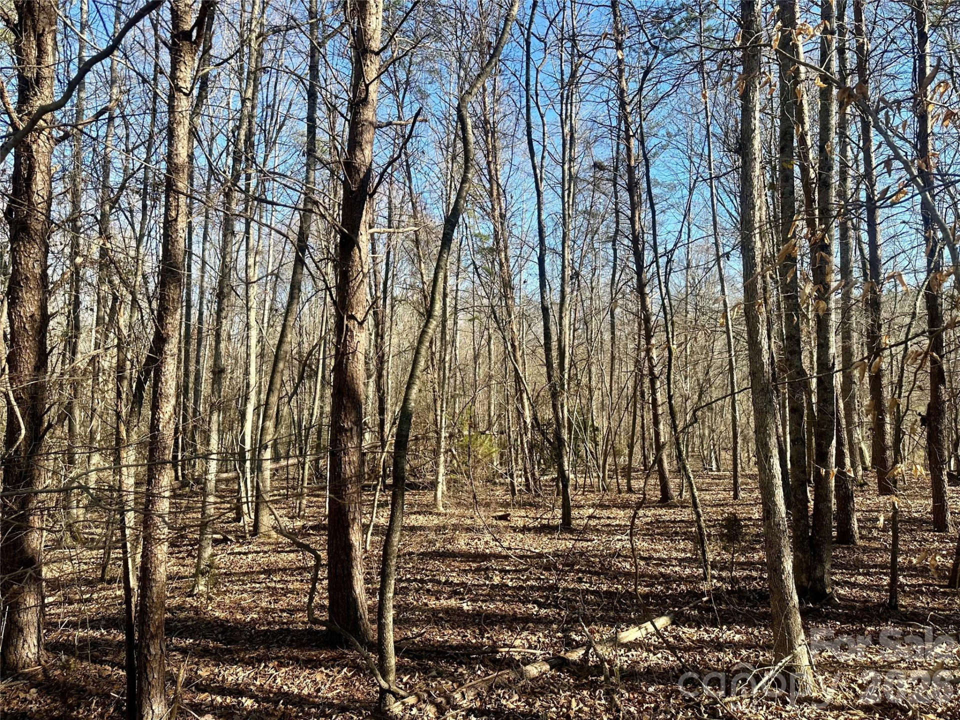 99999 River Crest Parkway - Photo 7