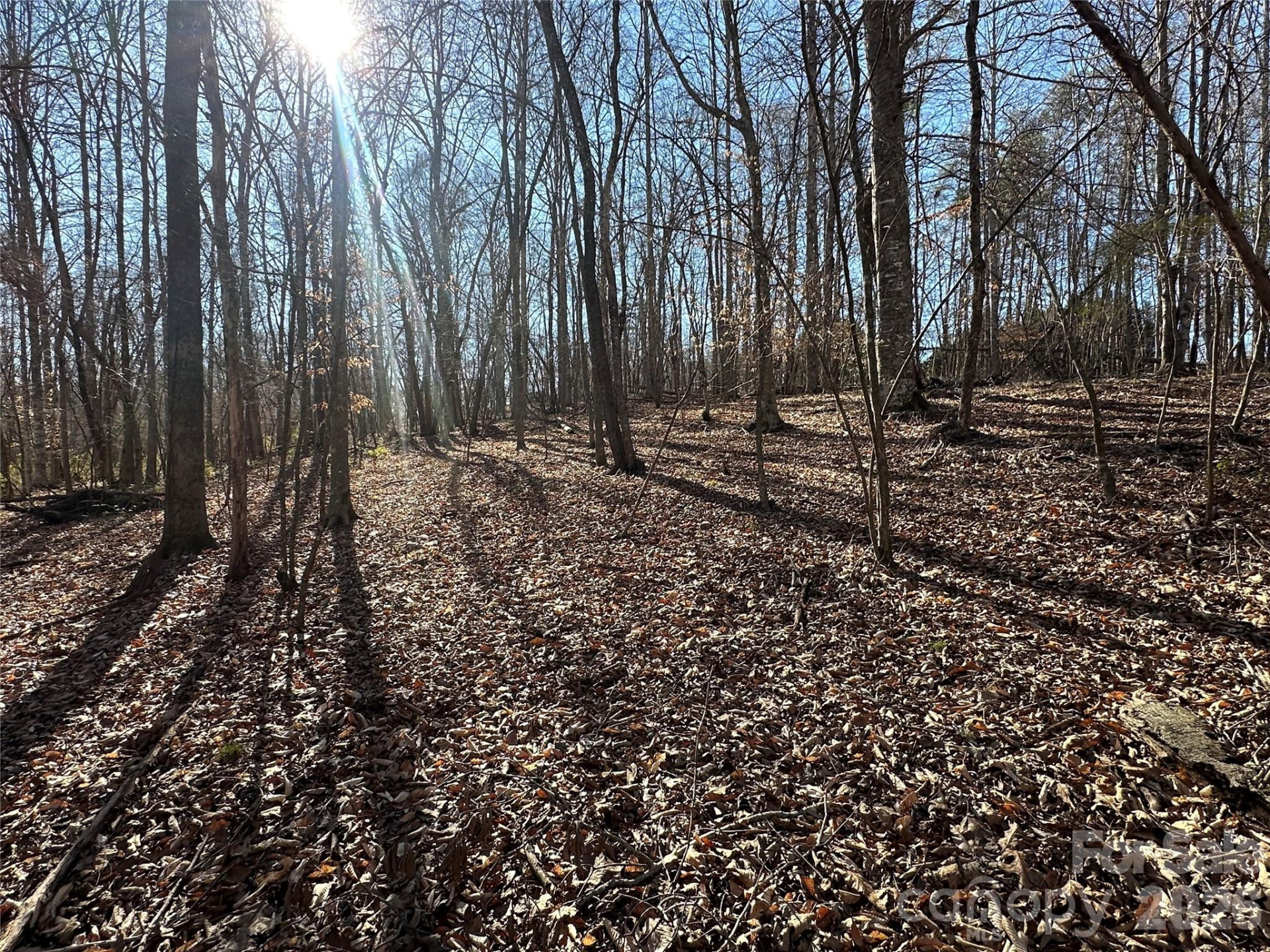 99999 River Crest Parkway - Photo 8