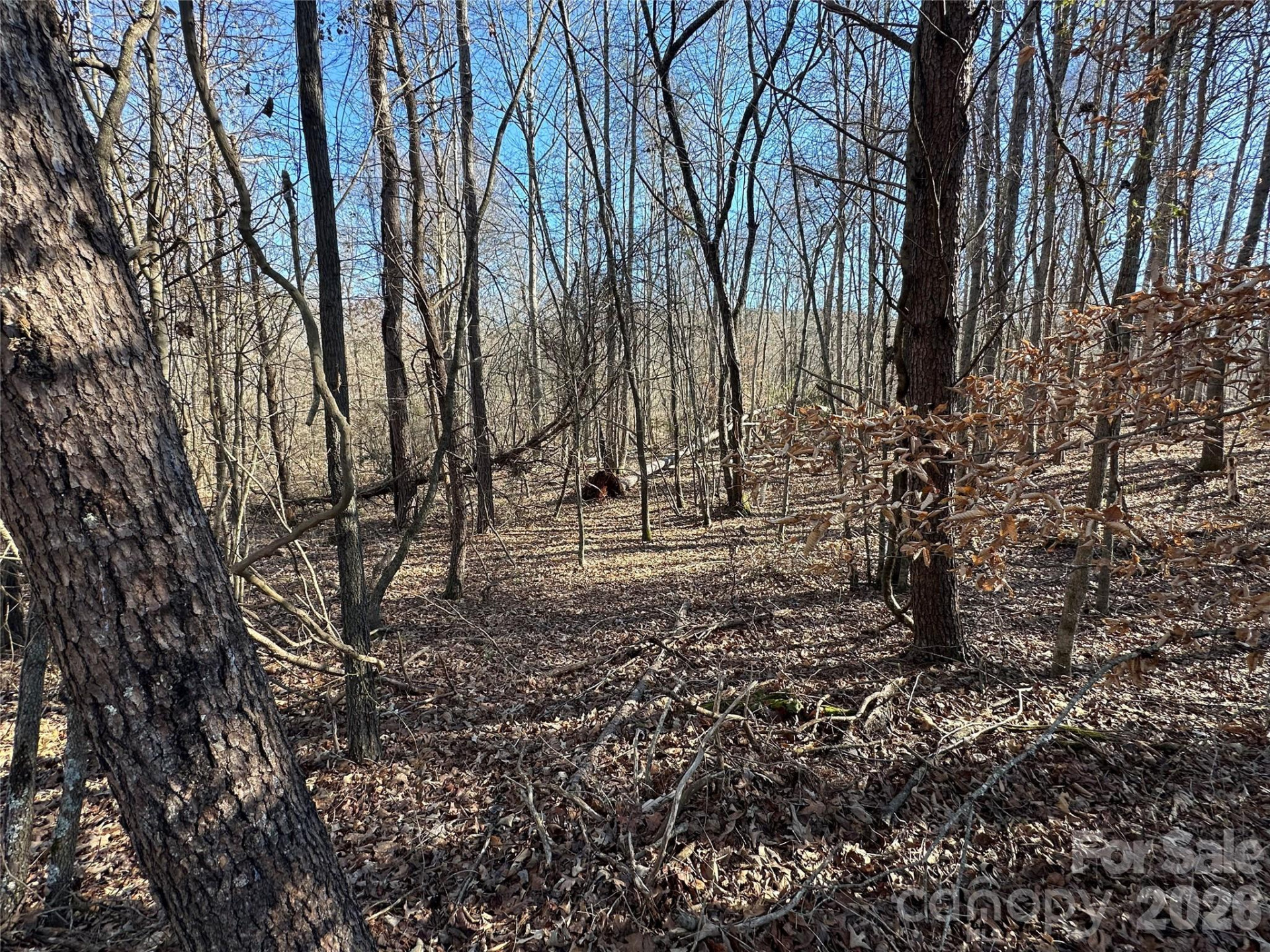 99999 River Crest Parkway - Photo 9